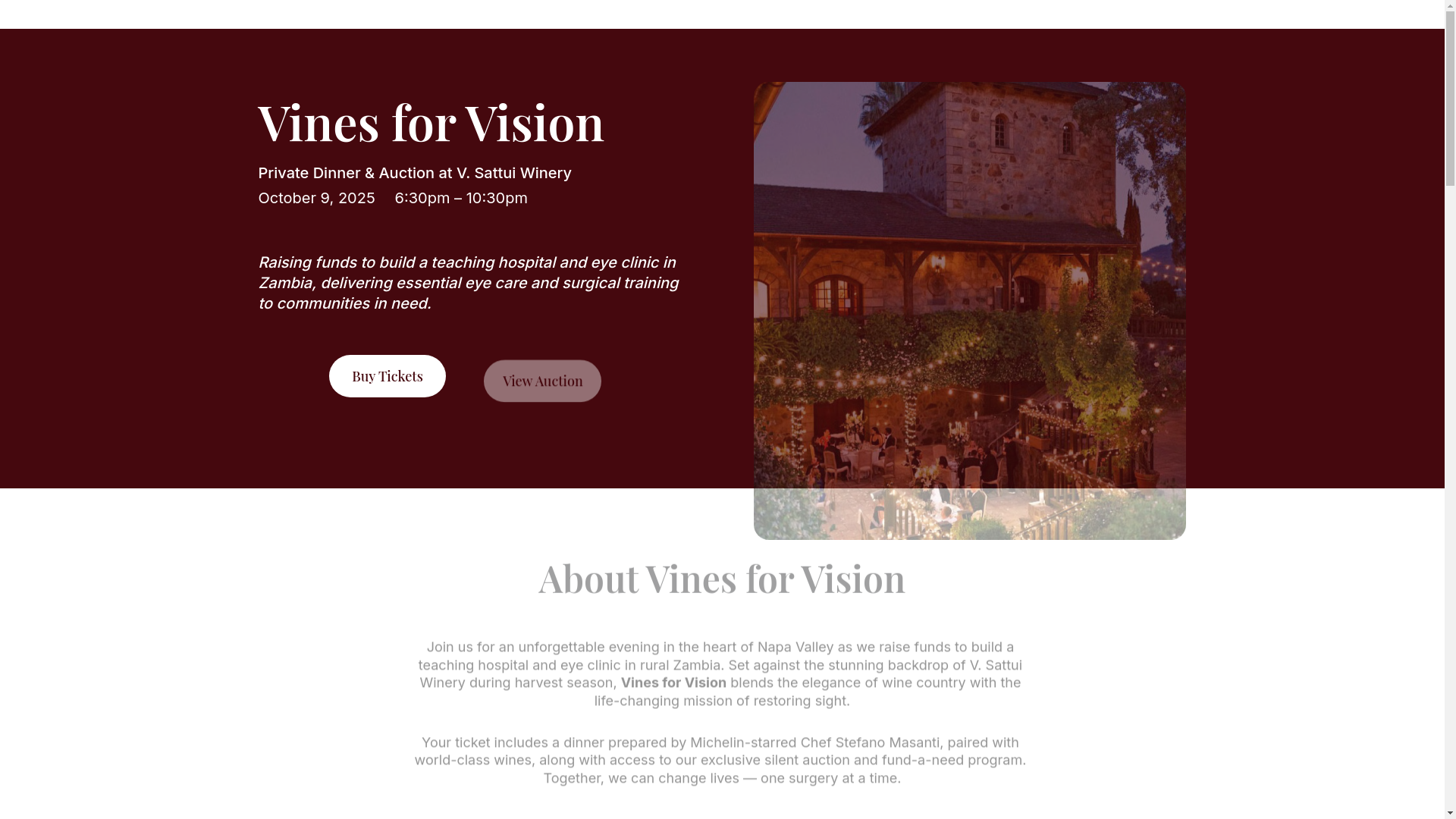 website screenshot of https://vinesforvision.com/