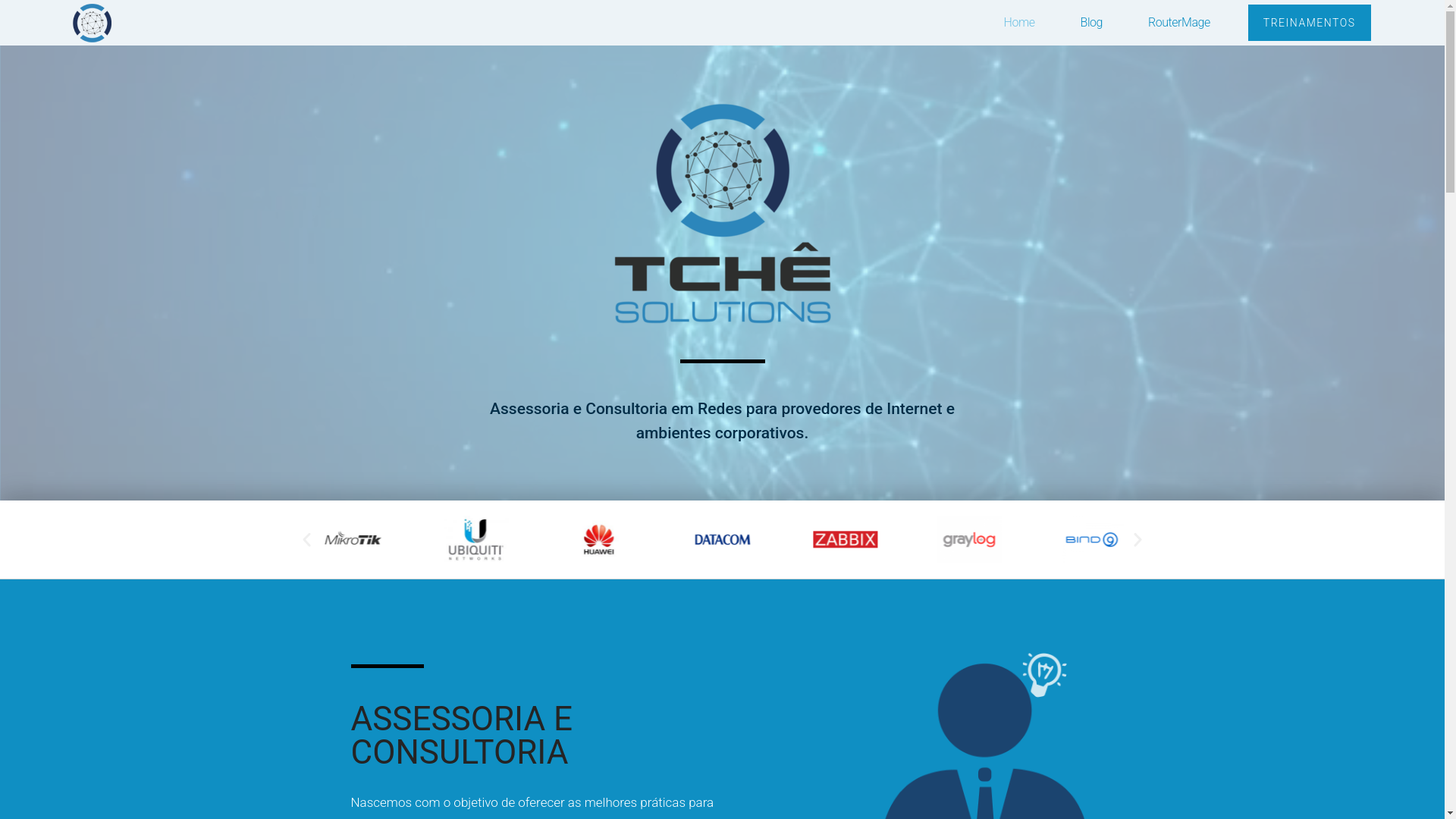 website screenshot of https://tchesolutions.com.br/