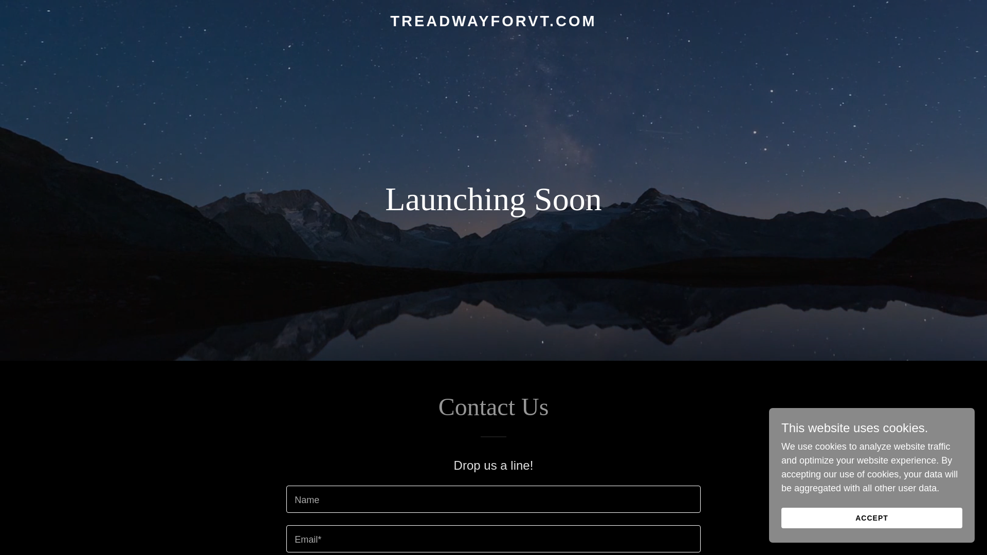 website screenshot of https://treadwayforvt.com/