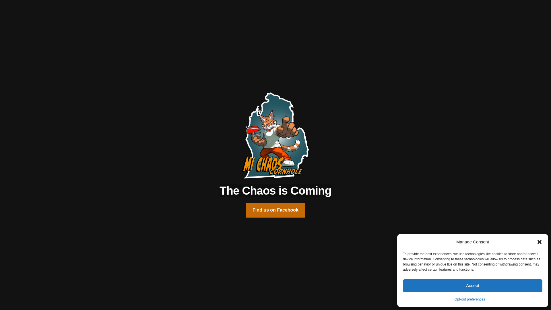 website screenshot of https://michaoscornhole.com/