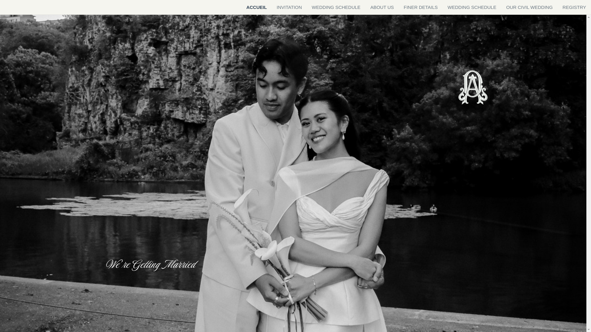 website screenshot of https://danarithewedding.com/