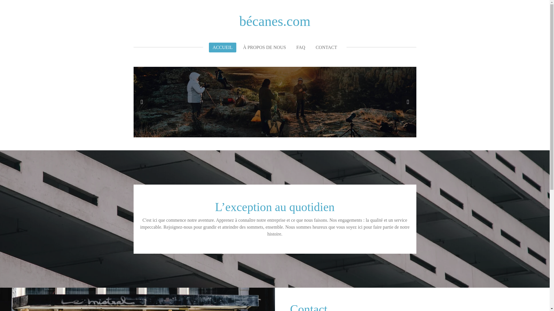 website screenshot of https://becanes.net/
