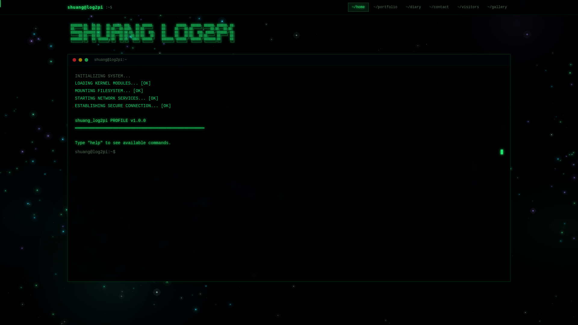 website screenshot of https://shuanglog2pi.xyz/