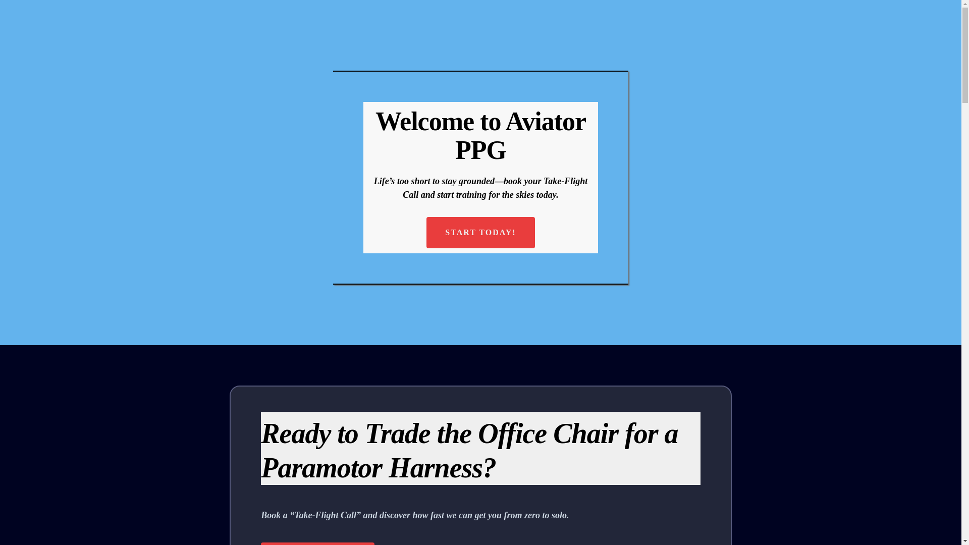 website screenshot of https://aviatorppgmarketing.com/