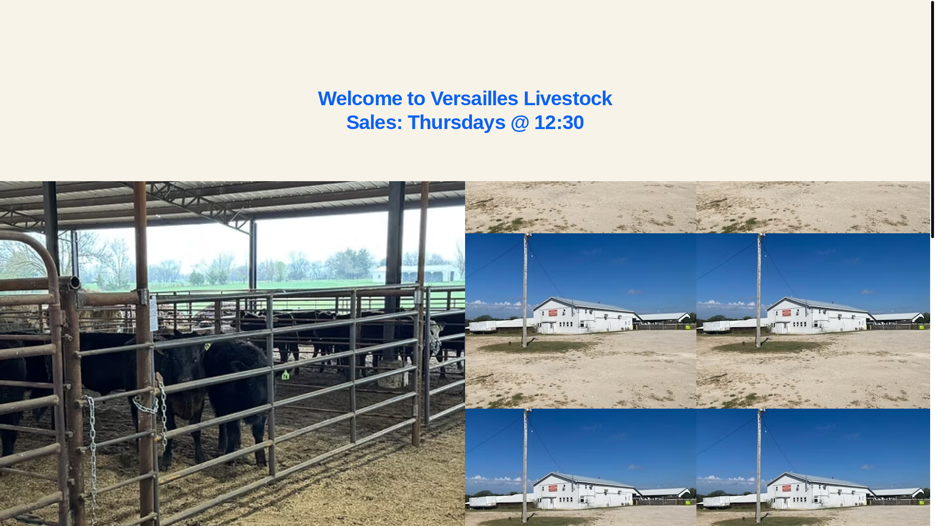 website screenshot of https://versailleslivestockauction.net/