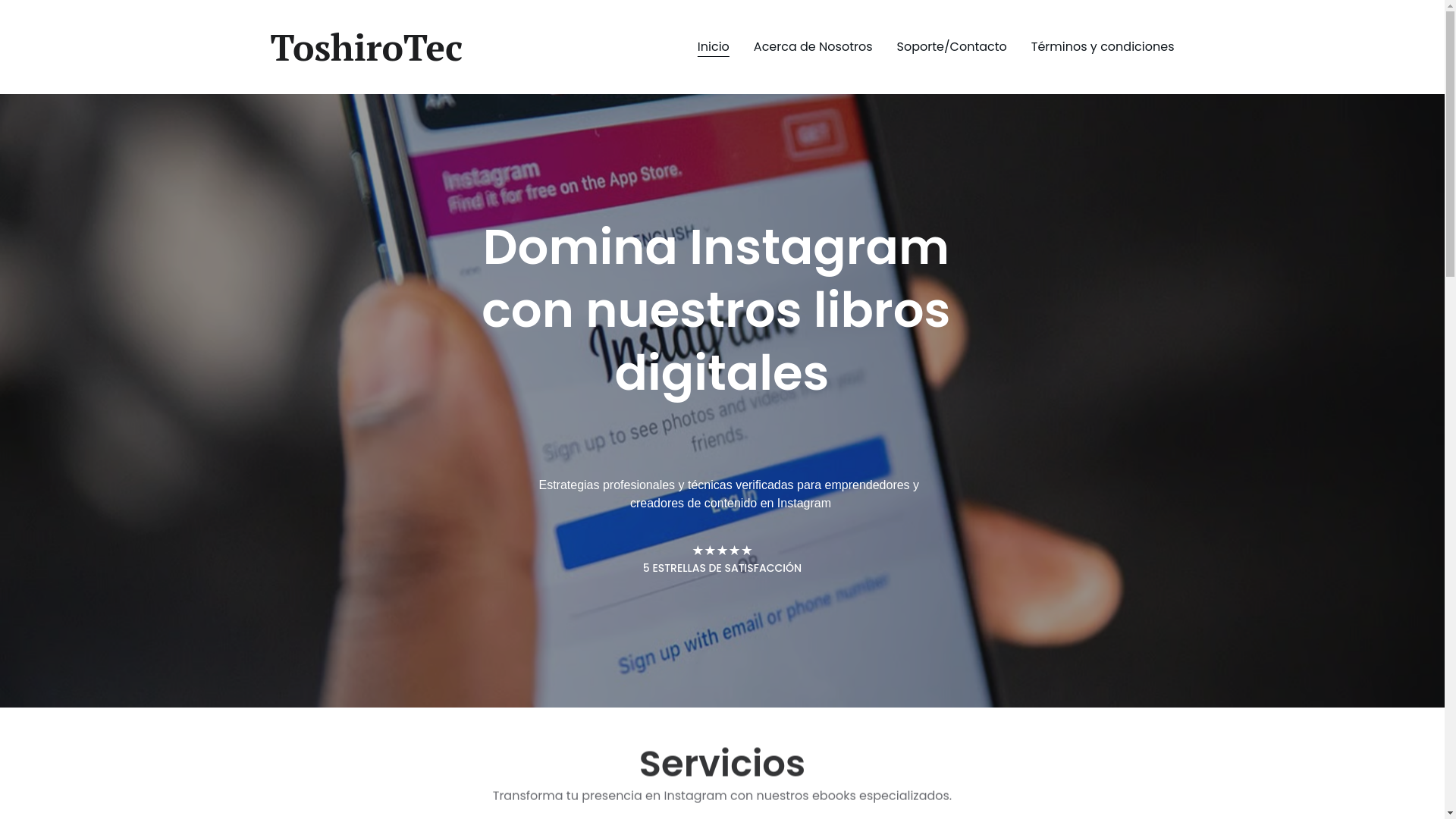 website screenshot of https://toshirotec.store/