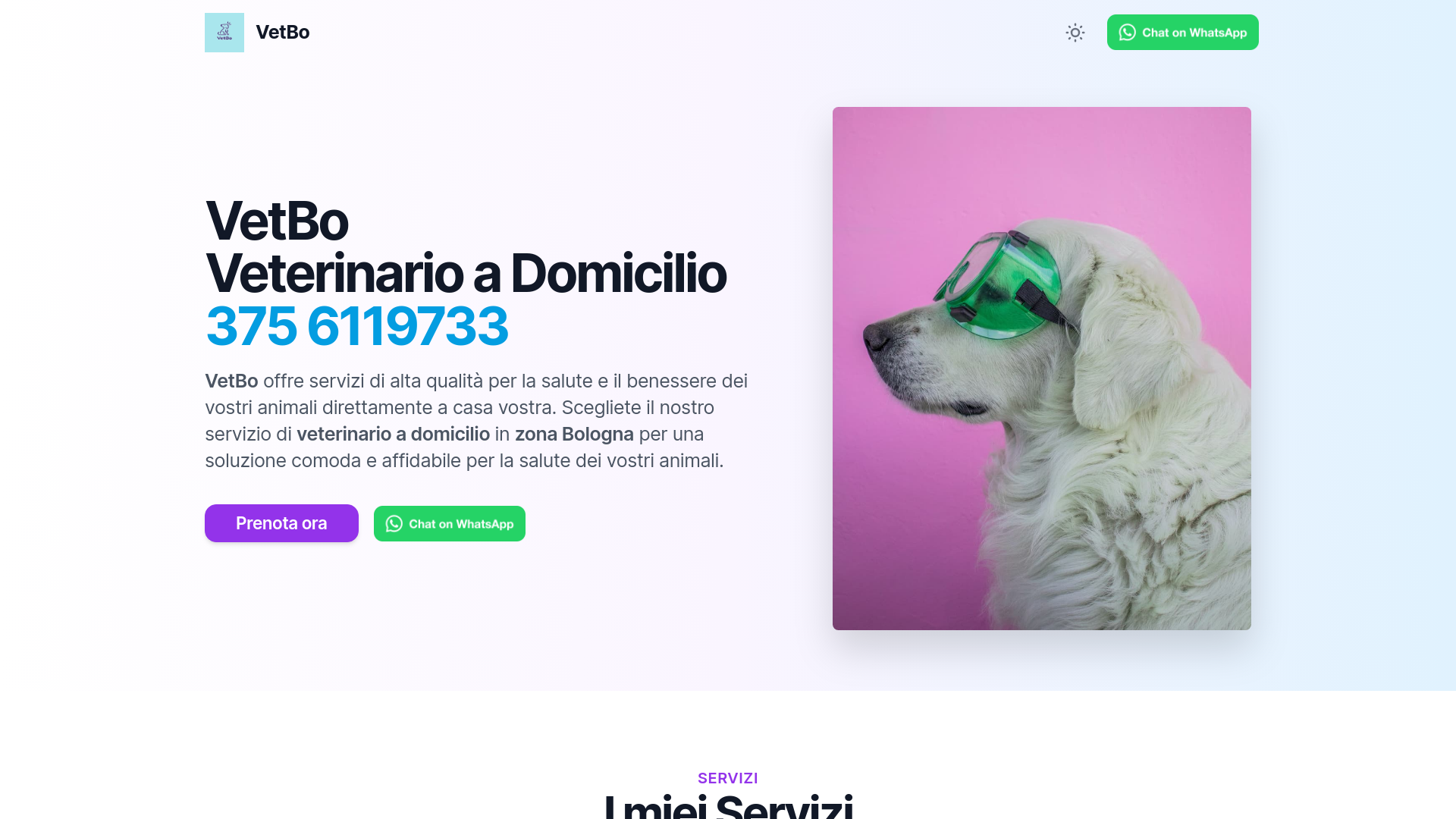 website screenshot of https://vetbo-qwind.pages.dev/