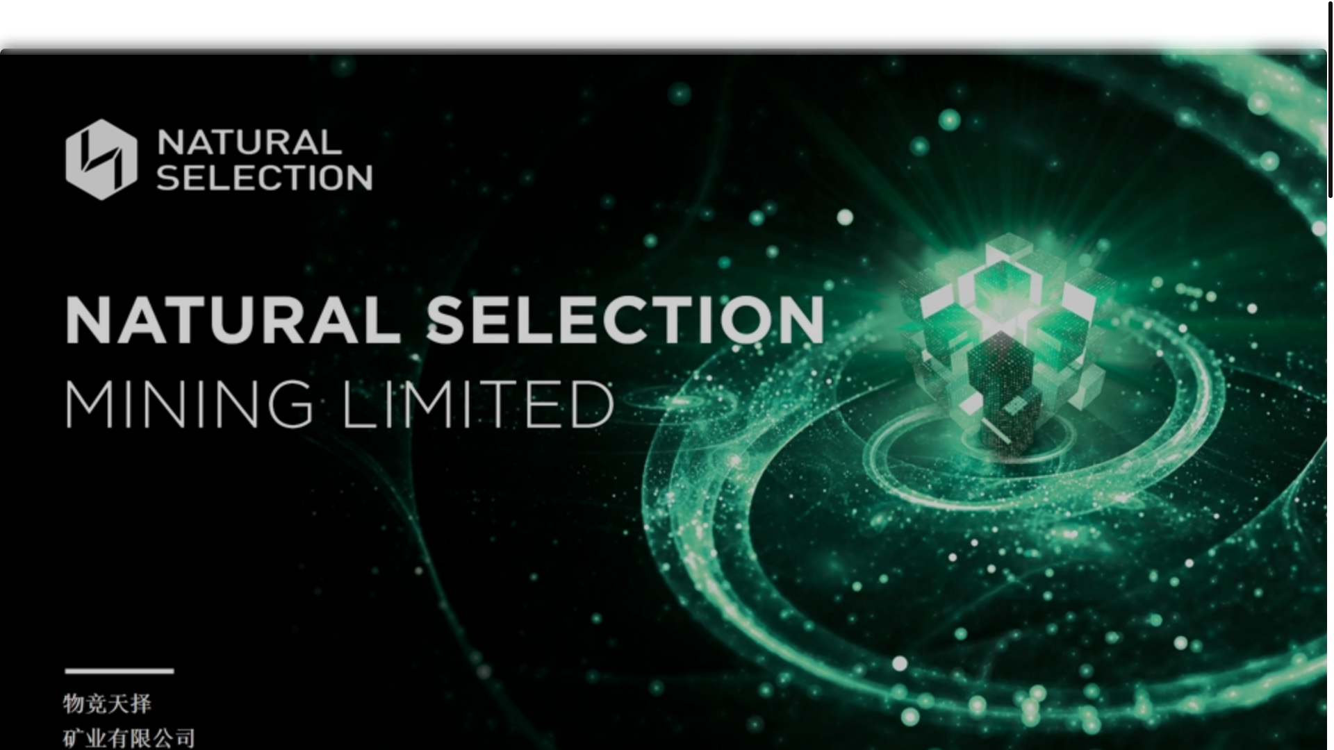 website screenshot of https://naturalselect.pages.dev/