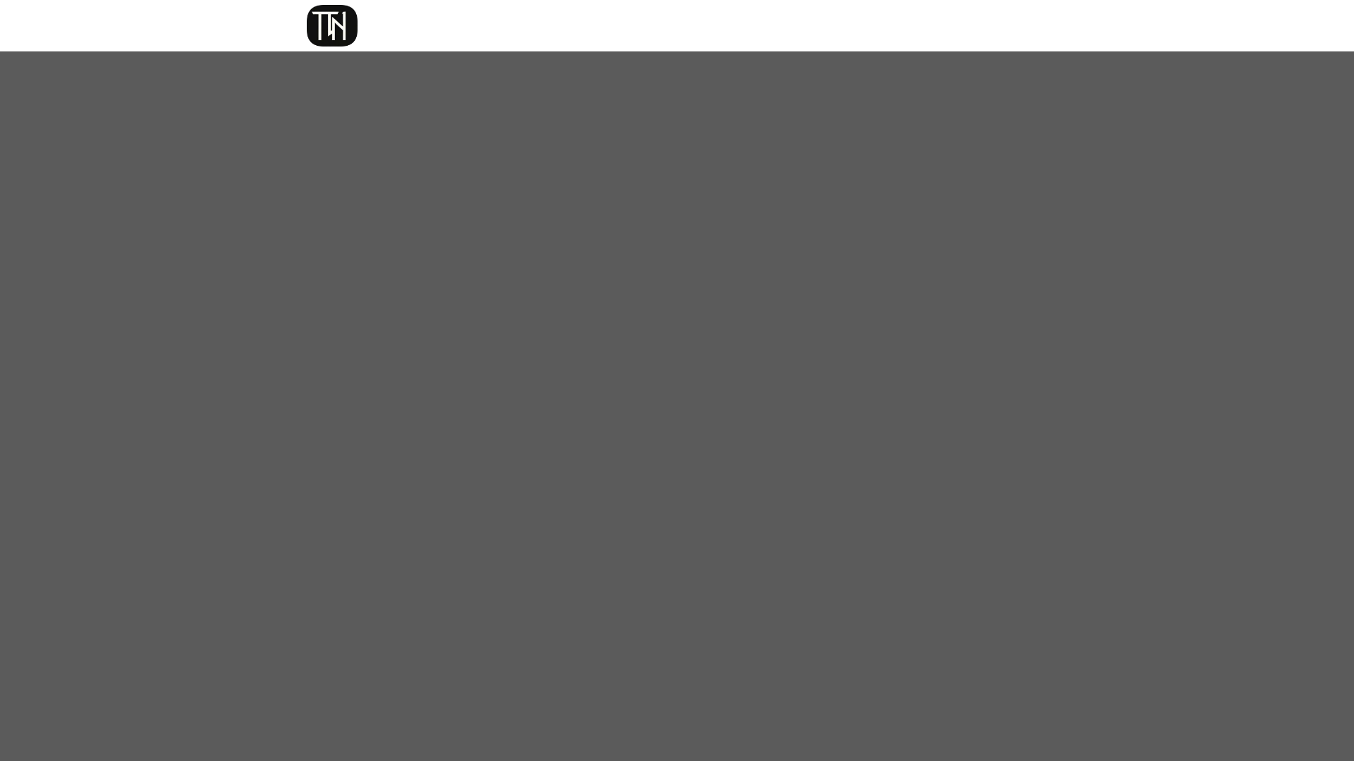 website screenshot of https://tintechgroups.com/