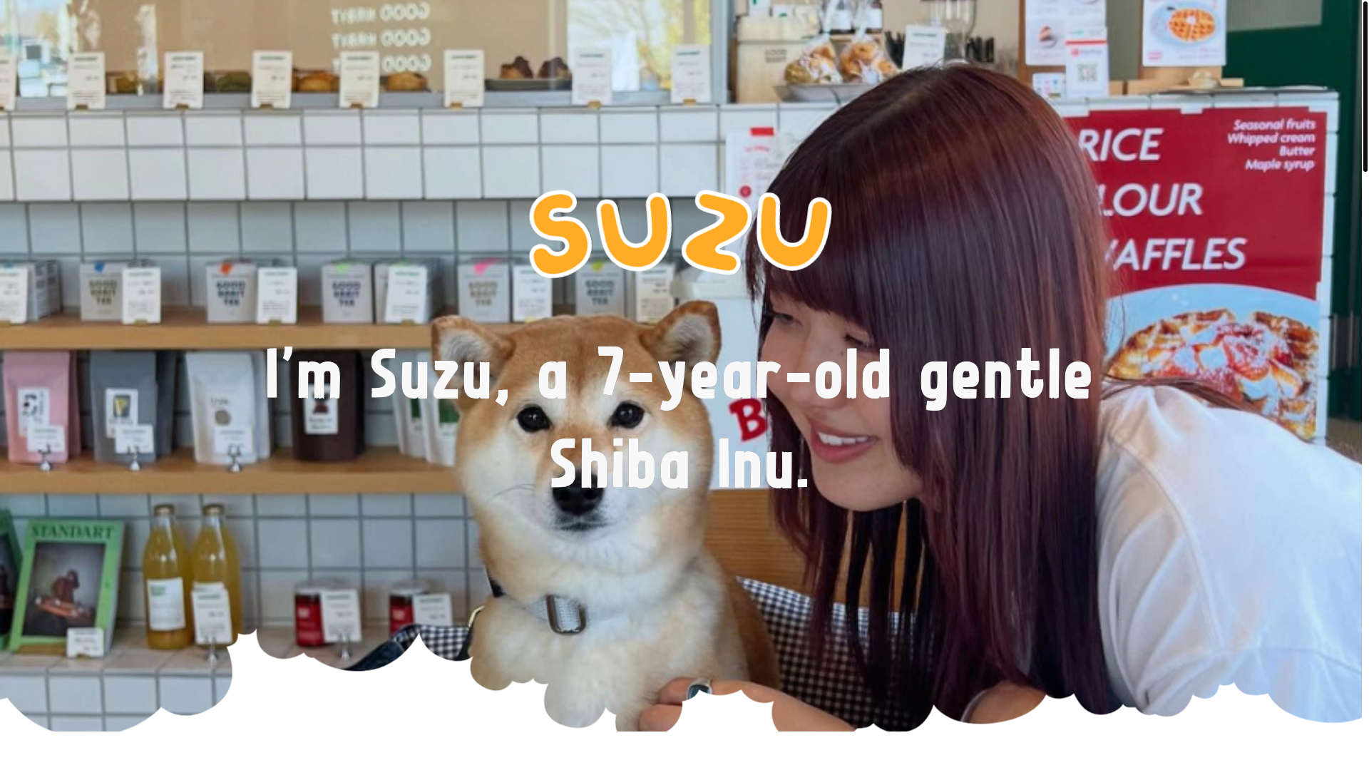 website screenshot of https://suzushibainu.lol/