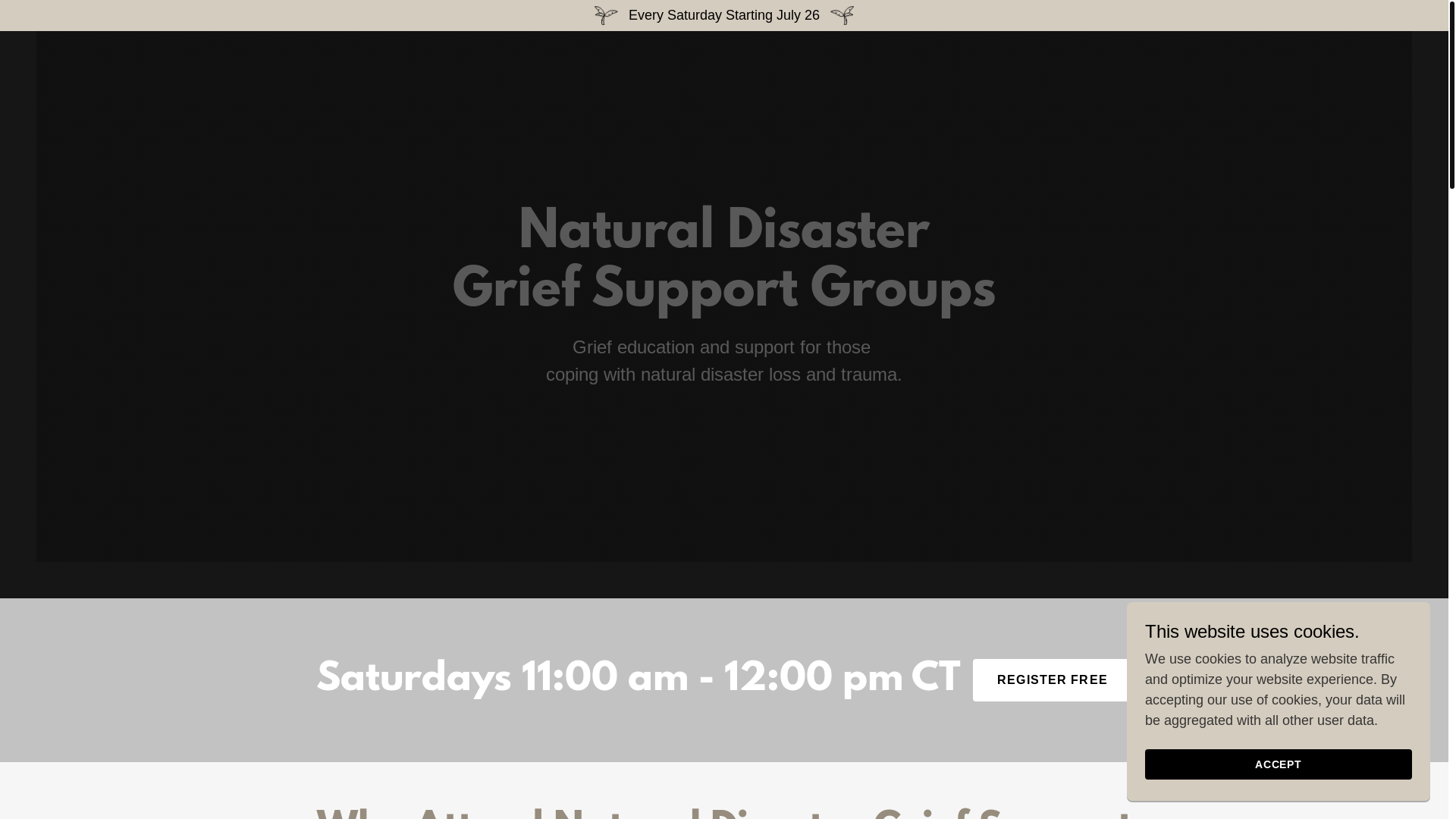 website screenshot of https://naturaldisastergriefsupport.org/