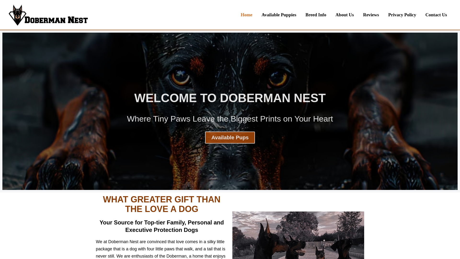 website screenshot of https://dobermannest.com