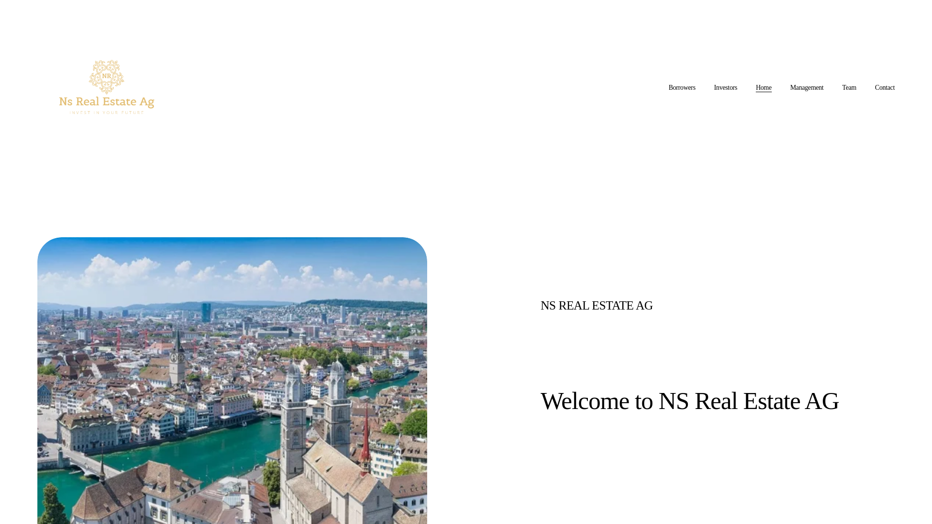 website screenshot of https://www.ns-real-estate.com/