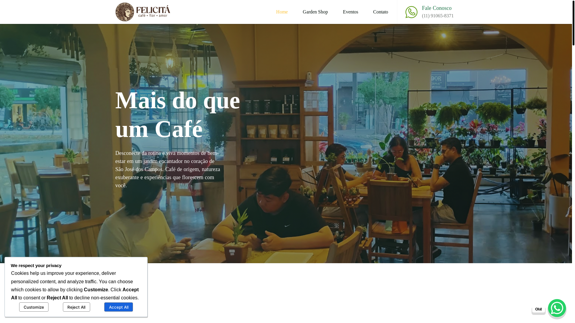 website screenshot of https://felicitasj.com.br/