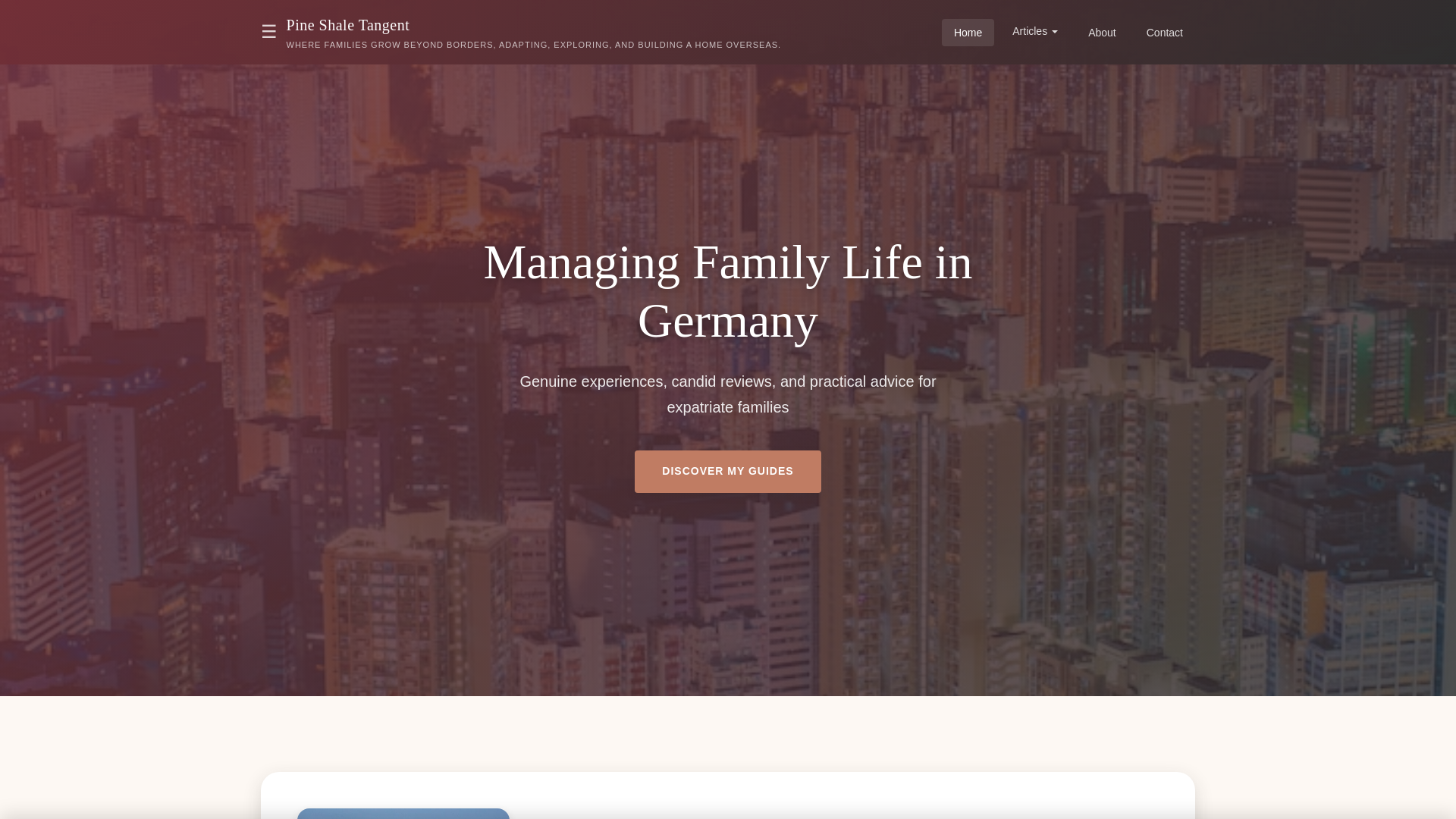 website screenshot of https://pineshaletangent.xyz