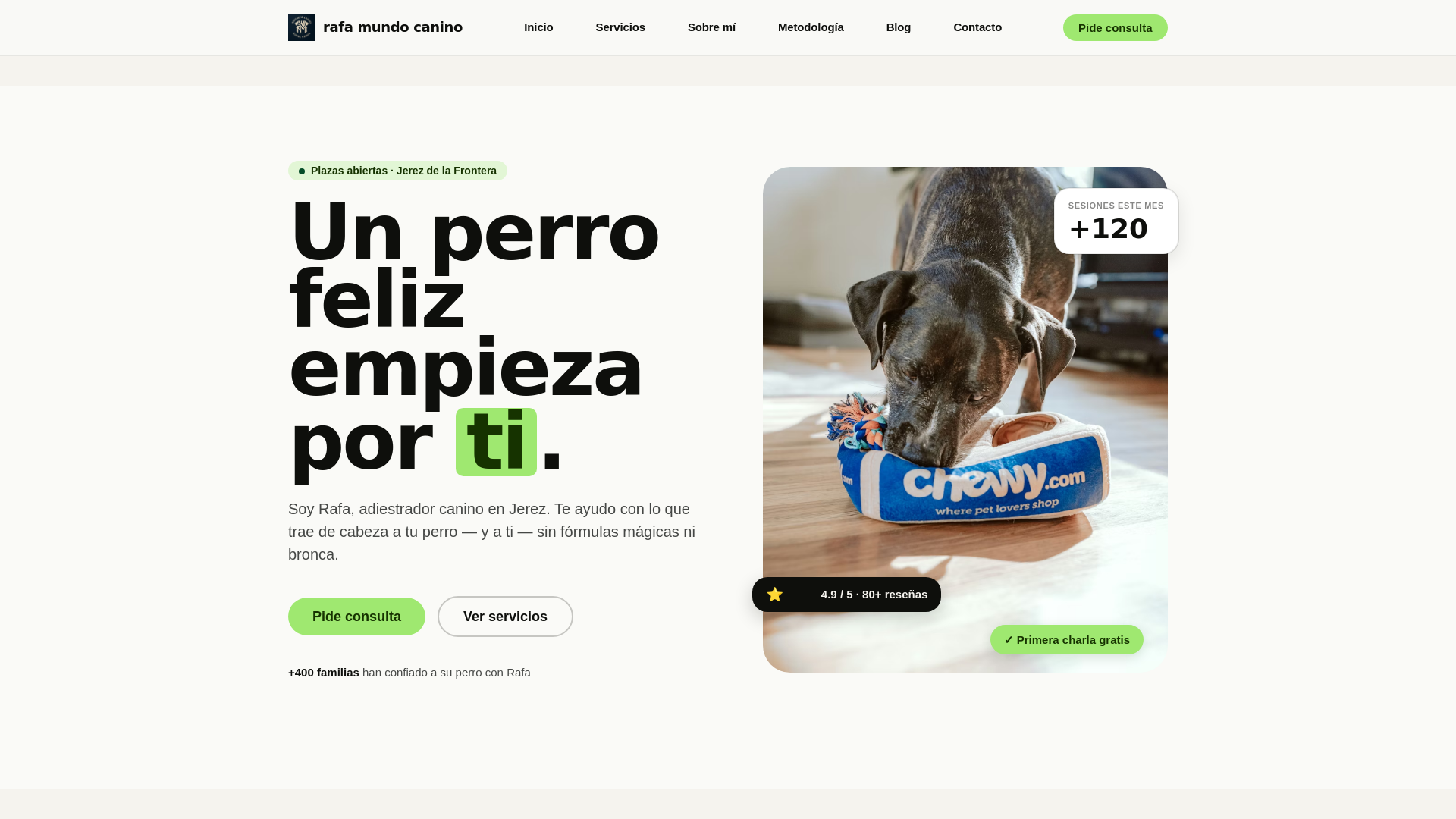 website screenshot of https://rafamundocanino.es/