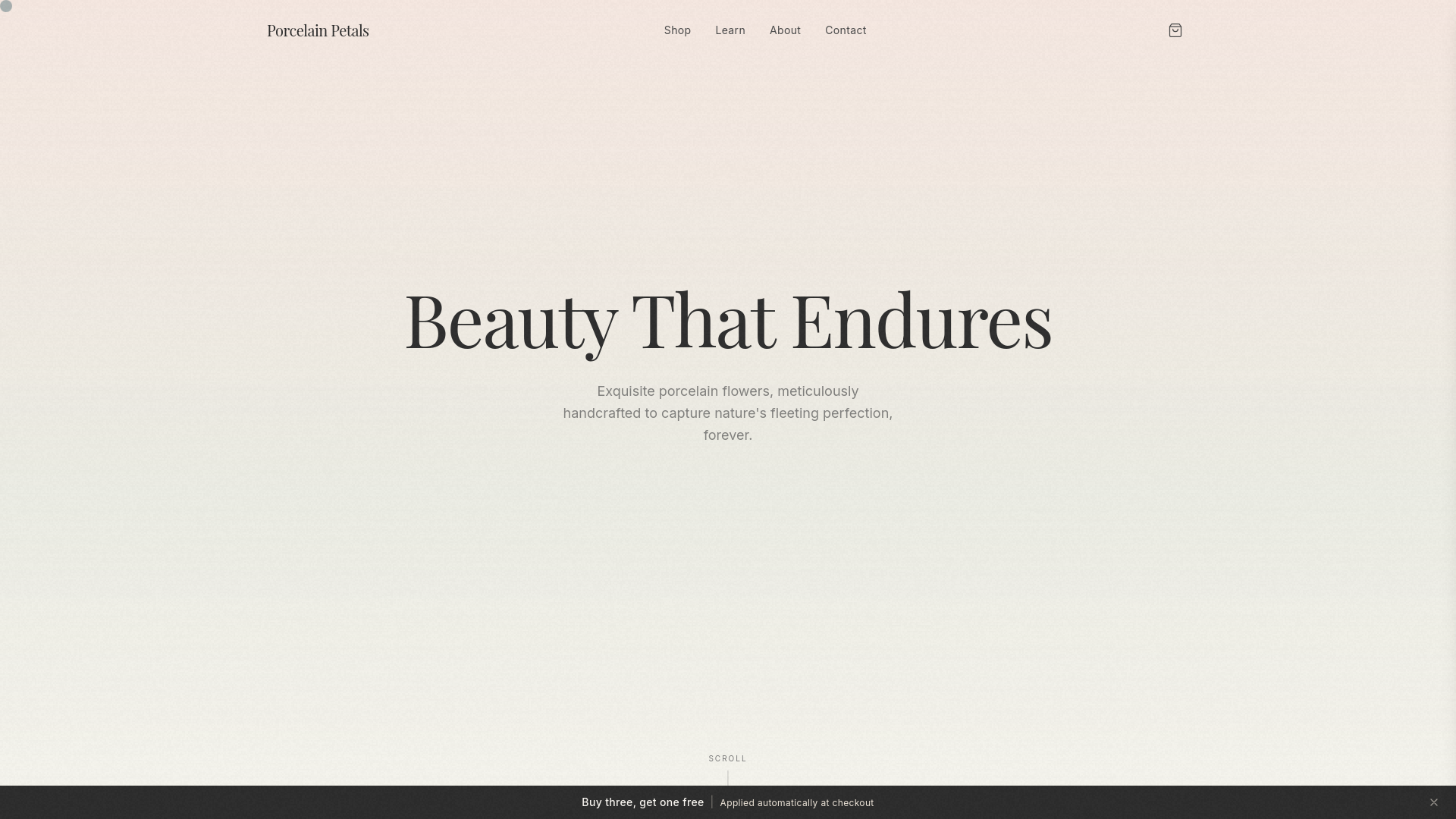 website screenshot of https://porcelainpetals.store