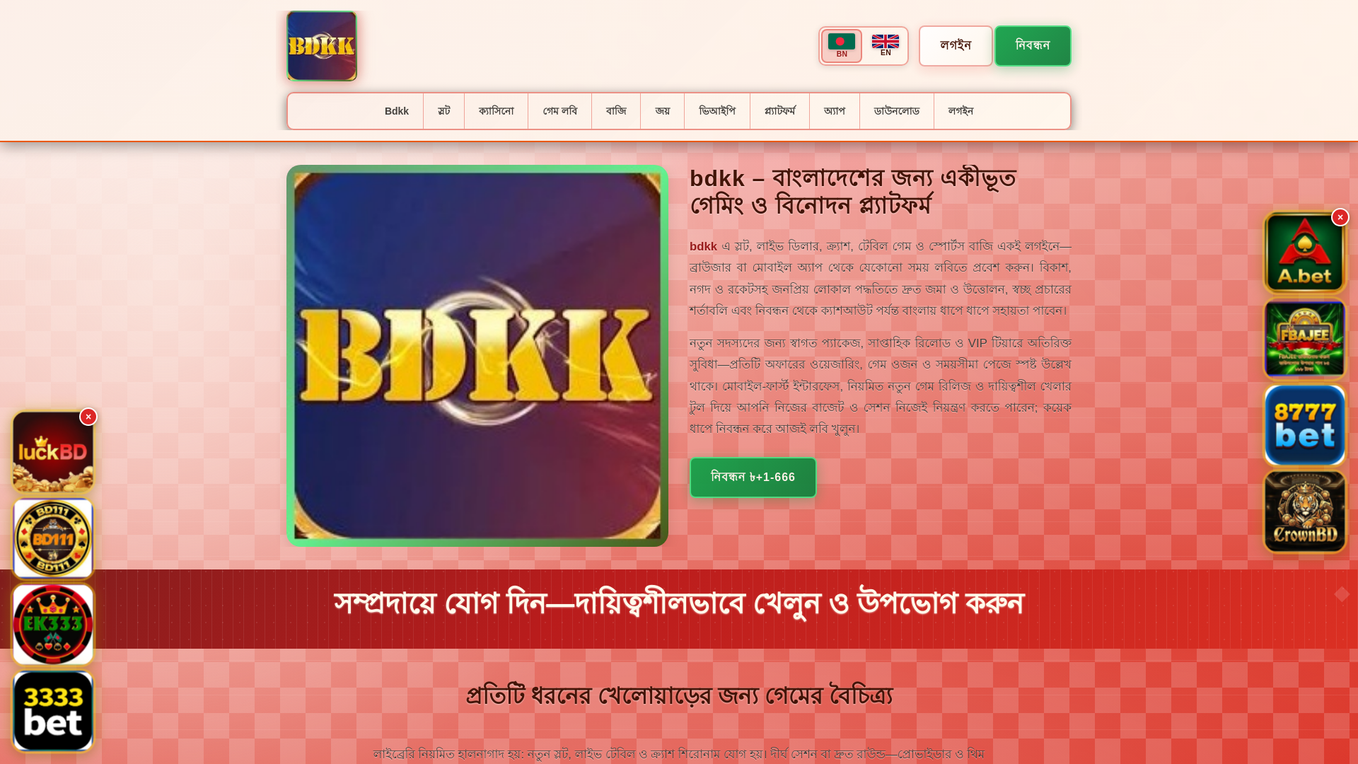 website screenshot of https://bdkktin.com/