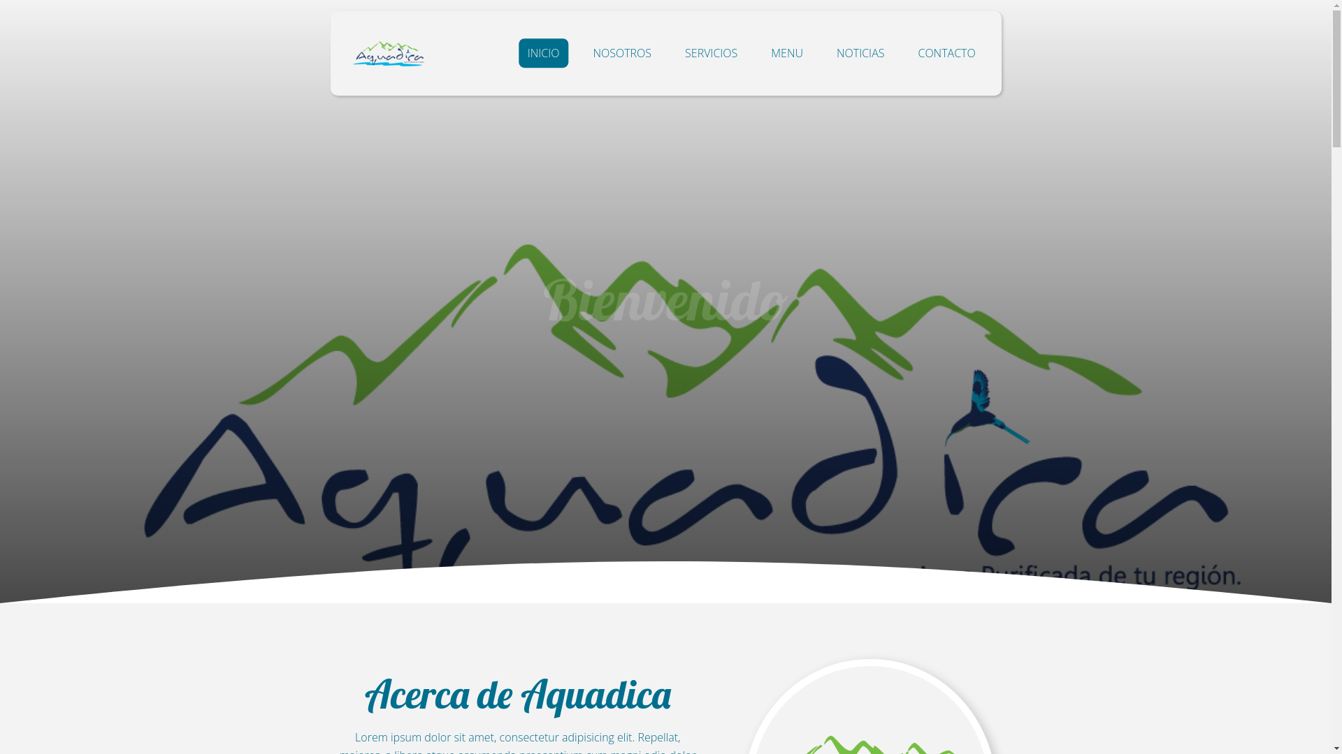 website screenshot of https://aquadica.com.mx/