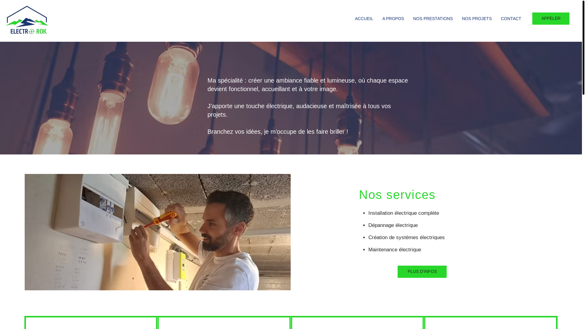 website screenshot of https://electrorok.com/