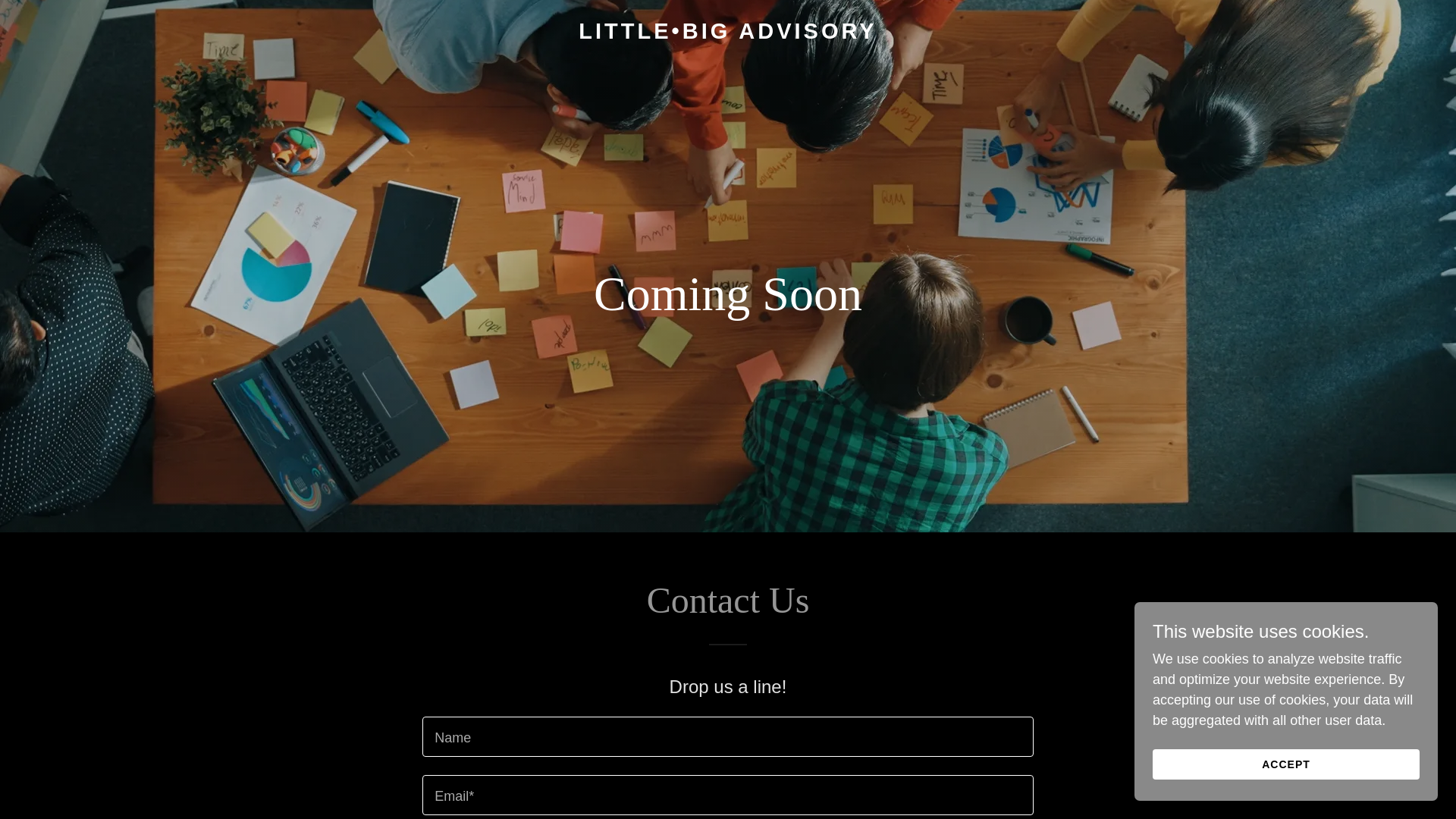 website screenshot of https://littlebigadvisory.com/