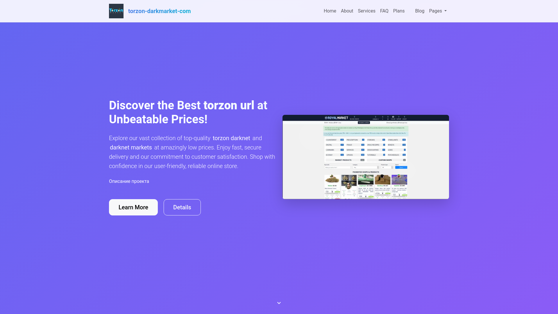 website screenshot of https://torzon-darkmarket.com