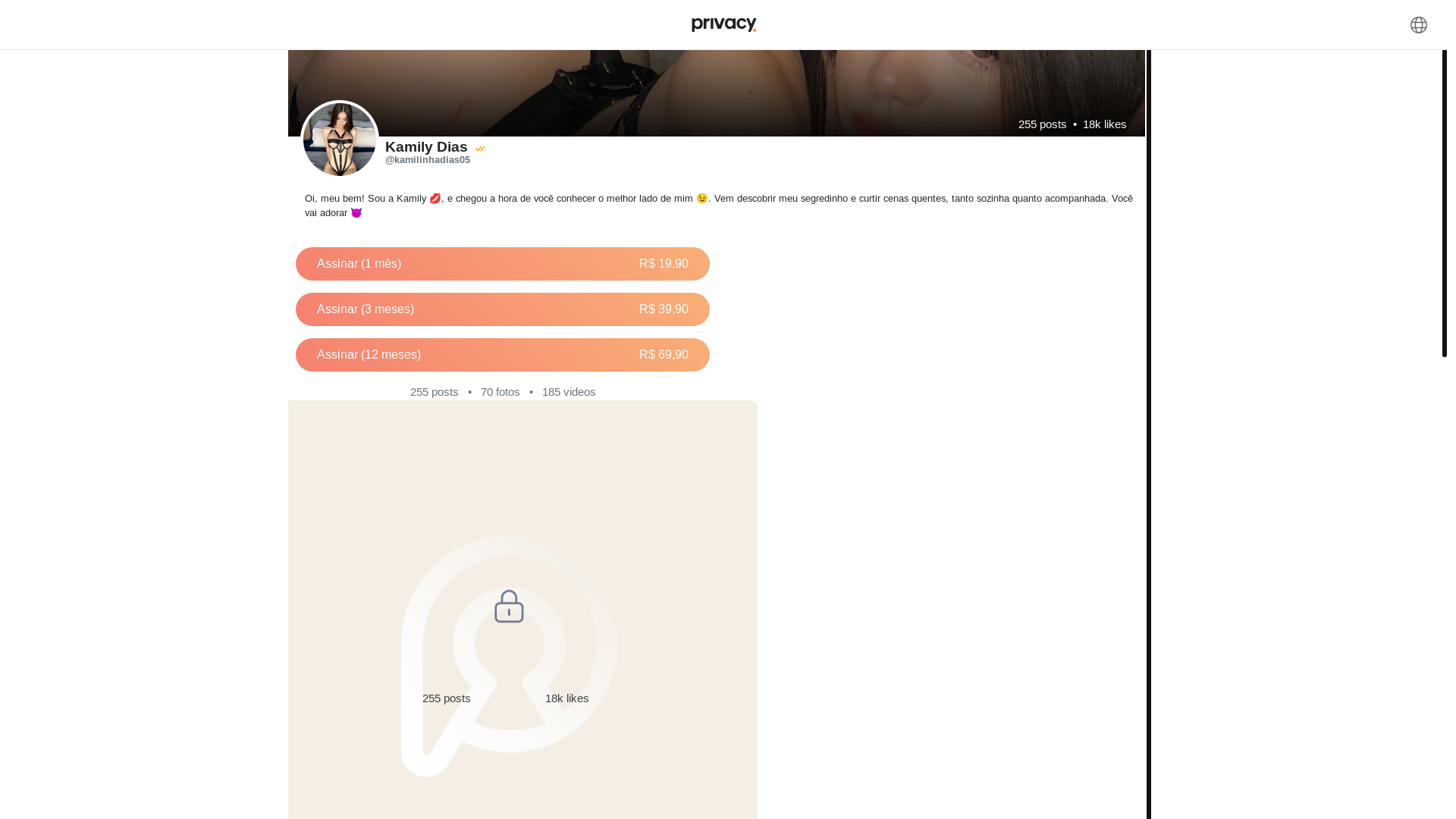 website screenshot of https://privacyprofile.online/