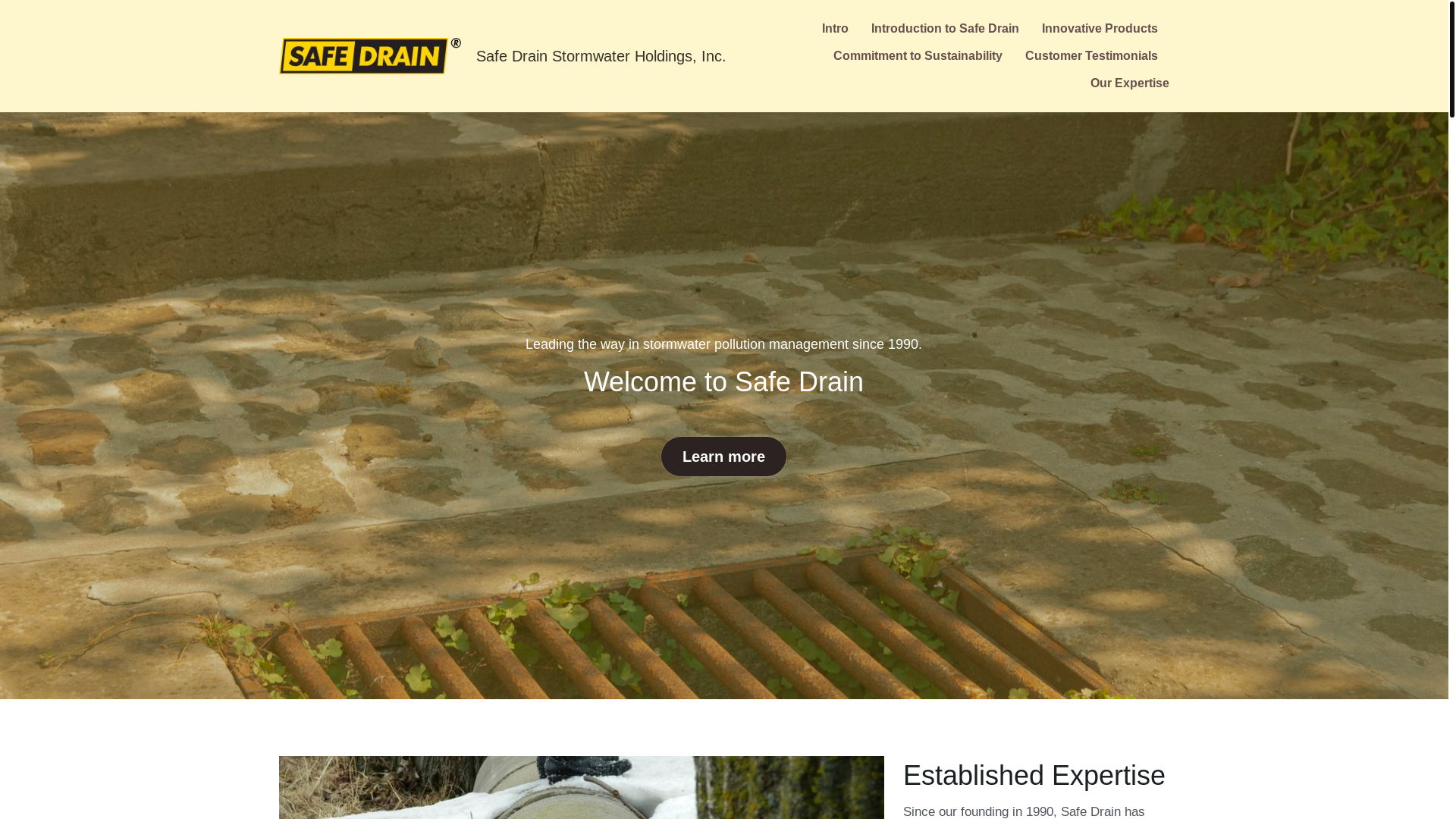 website screenshot of https://safedrain.sbs/