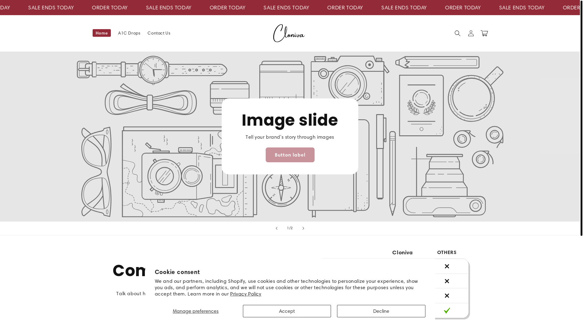 website screenshot of https://cloniva.com/