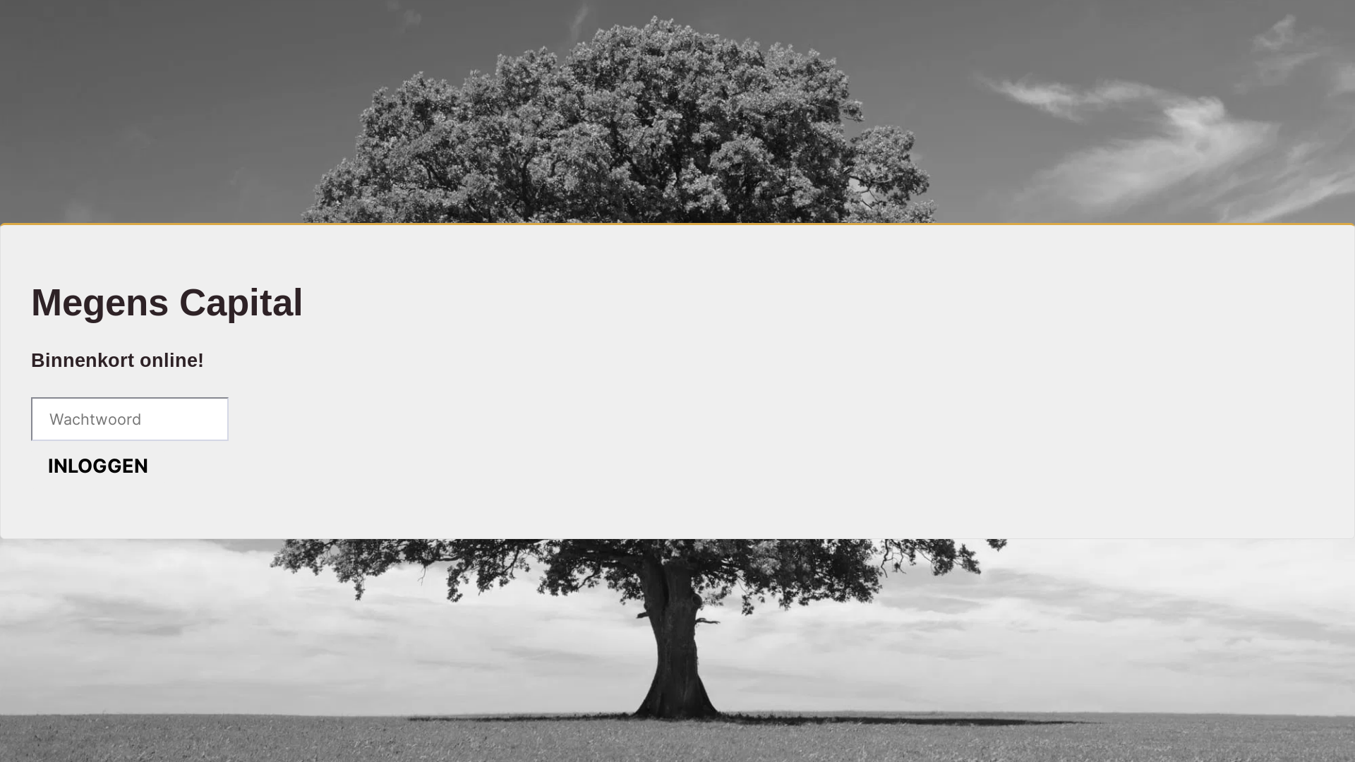 website screenshot of https://megenscapital.nl/