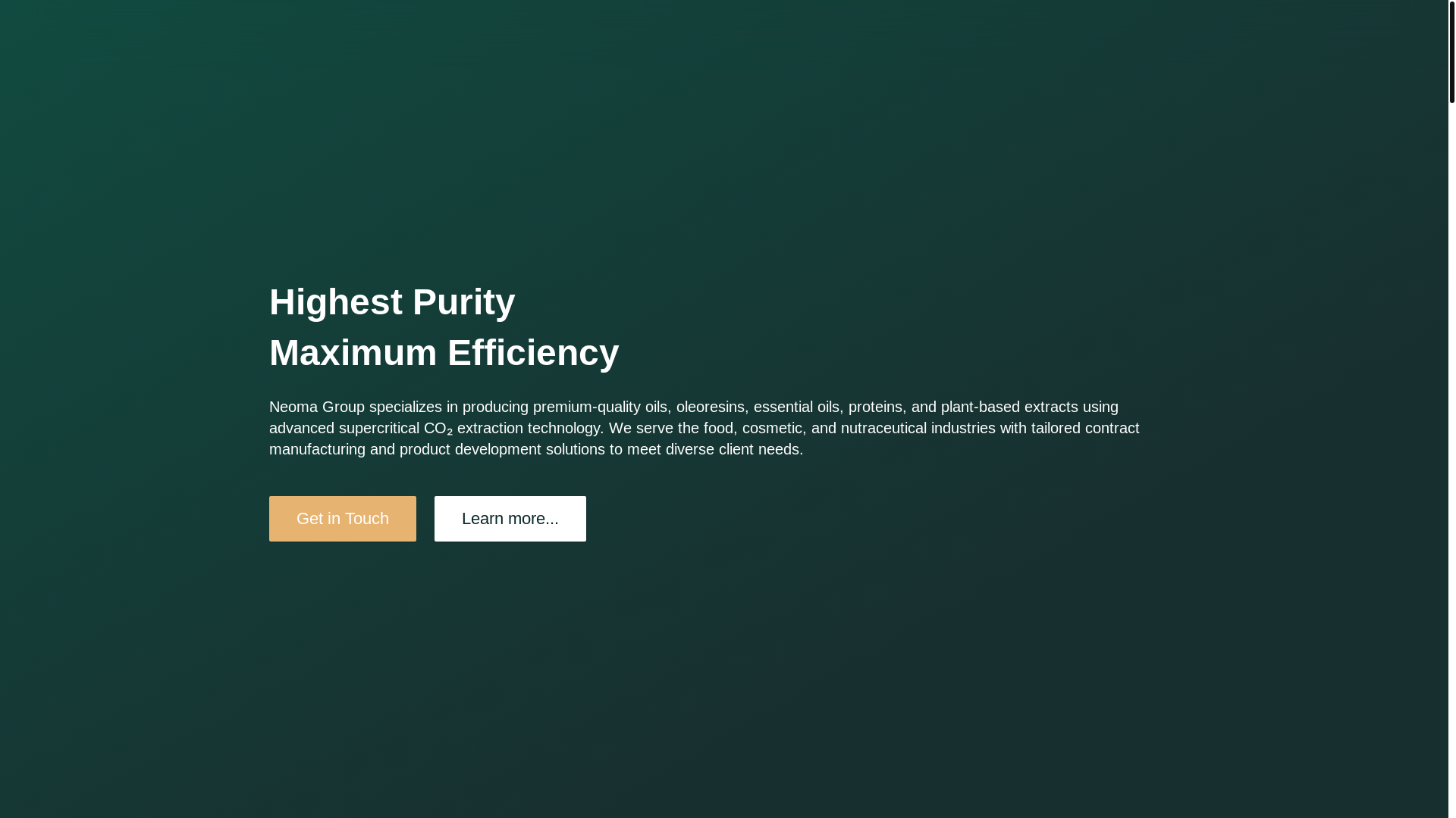 website screenshot of https://neomagroup-website.pages.dev/