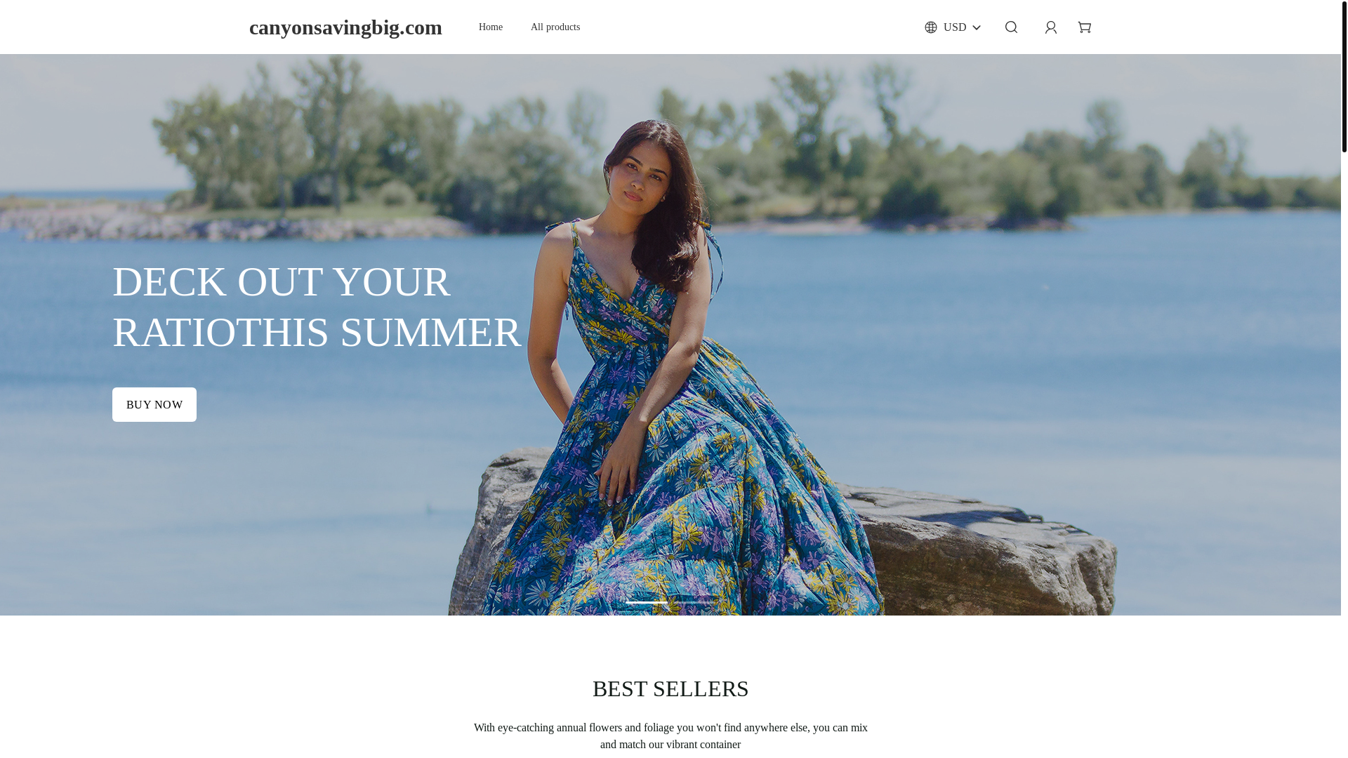 website screenshot of https://canyonsavingbig.com/