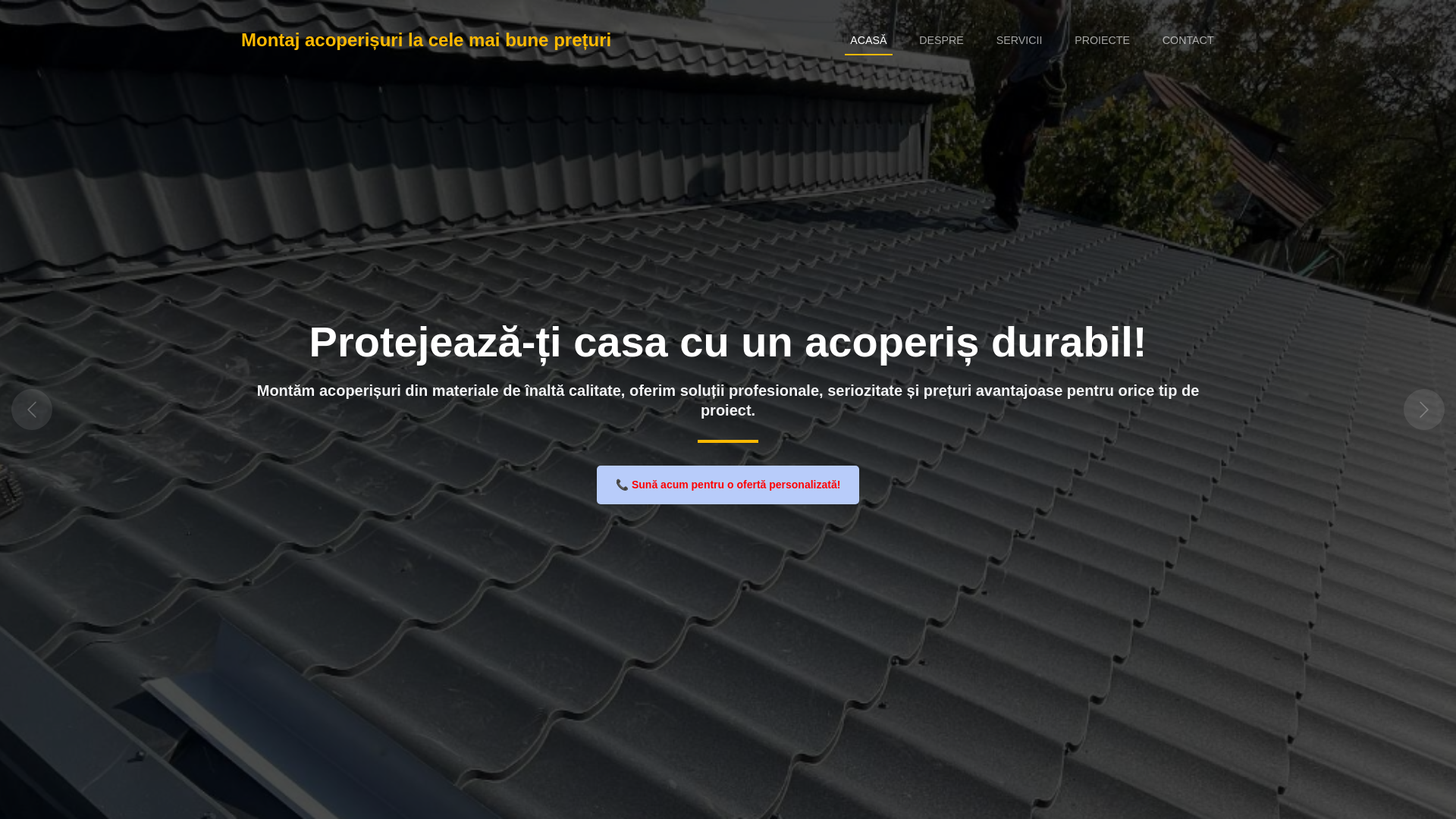 website screenshot of https://professionalconstruction.ro