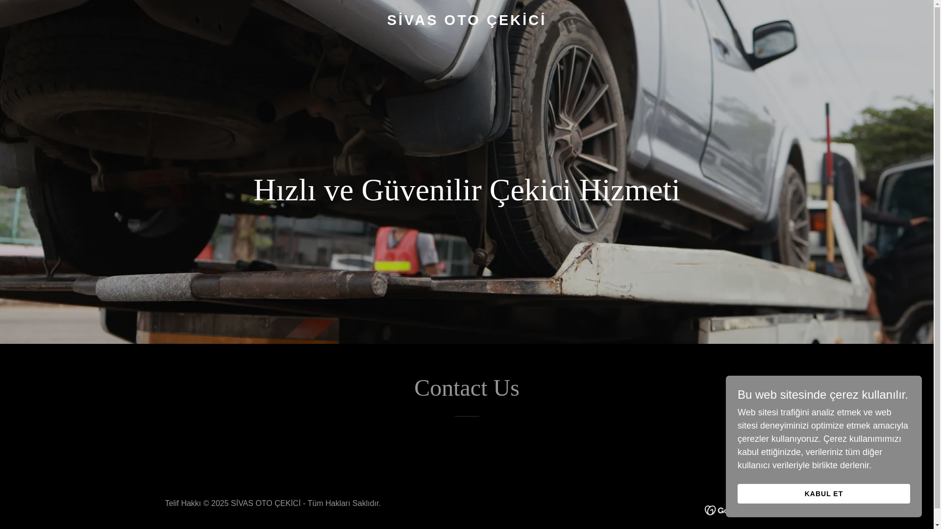 website screenshot of https://sivasarackurtarici.com/