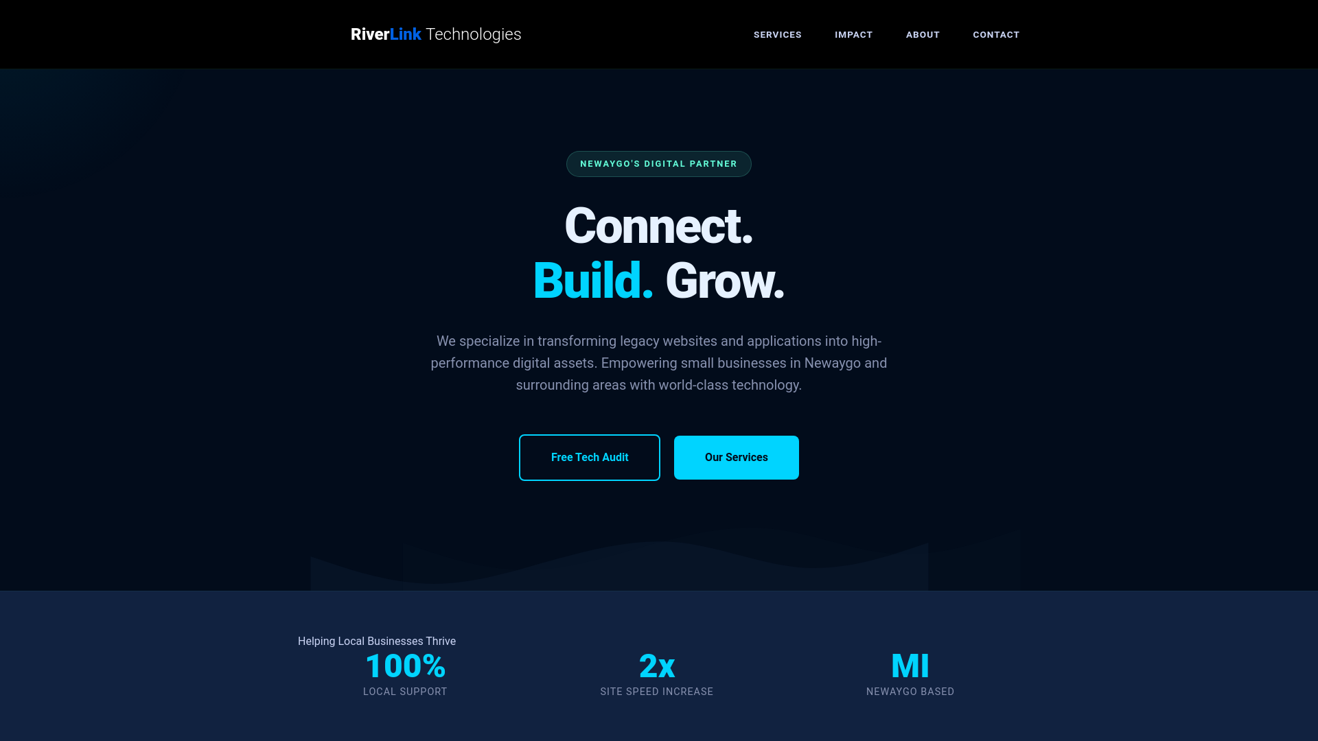 website screenshot of https://riverlinktechnologies.com/