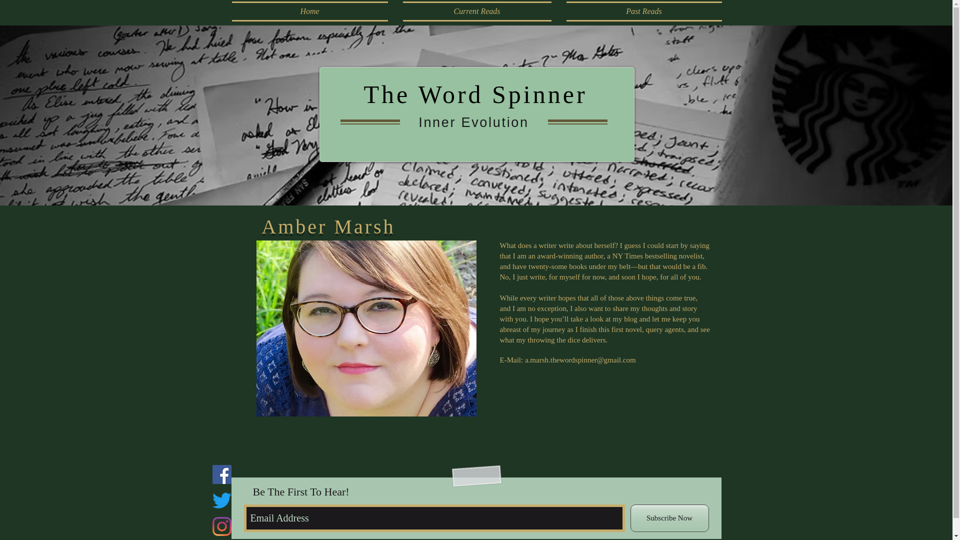 website screenshot of https://ambermarsh-thewordspinner.com/