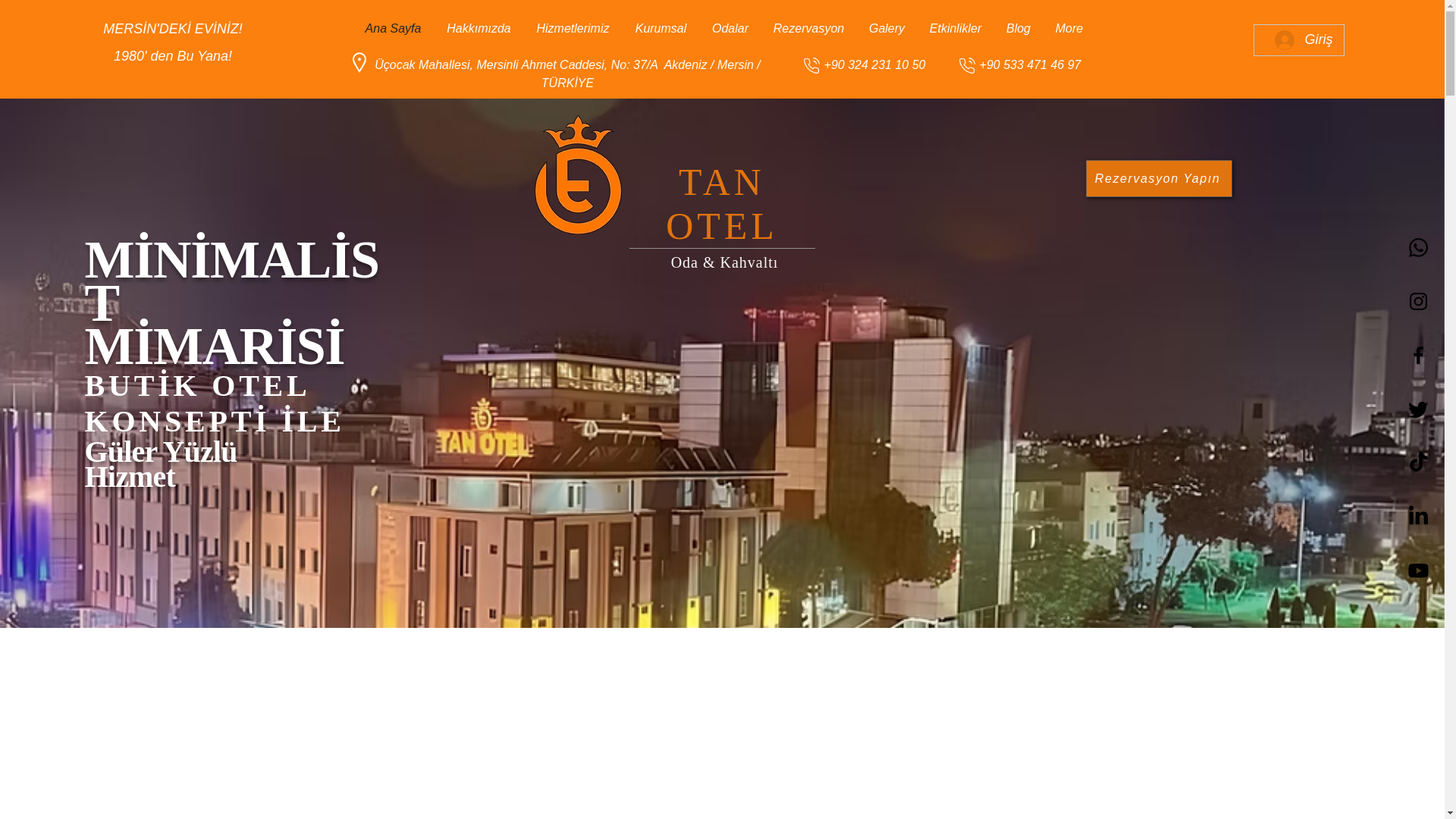 website screenshot of https://tanotelmersin.com/