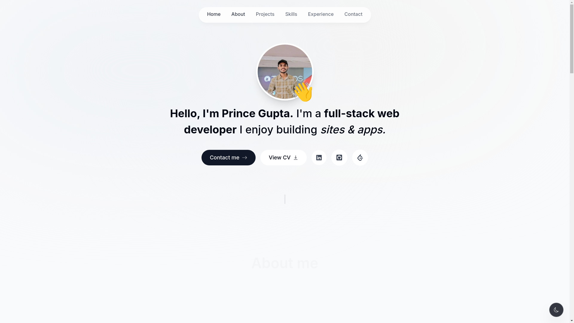 website screenshot of https://princegupta101.info/
