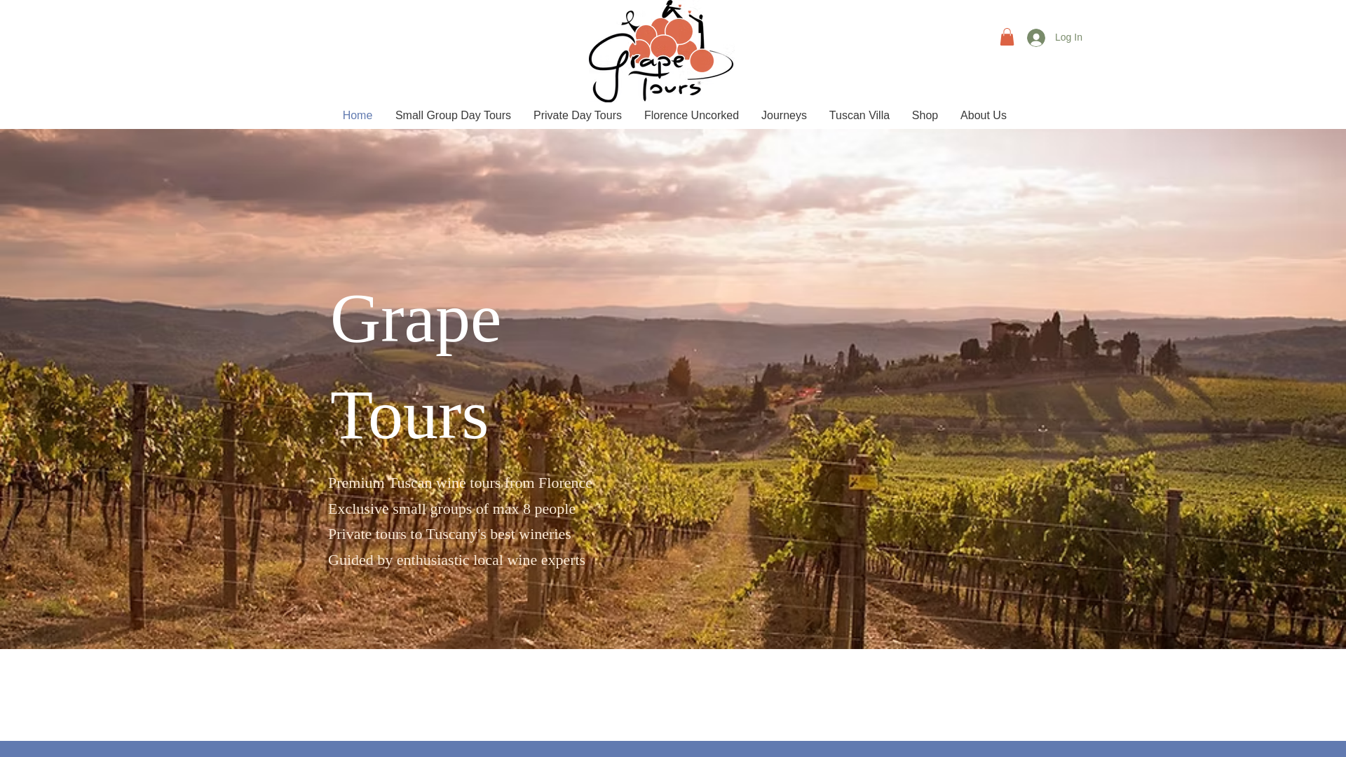 website screenshot of https://mygrapeexperiences.com/
