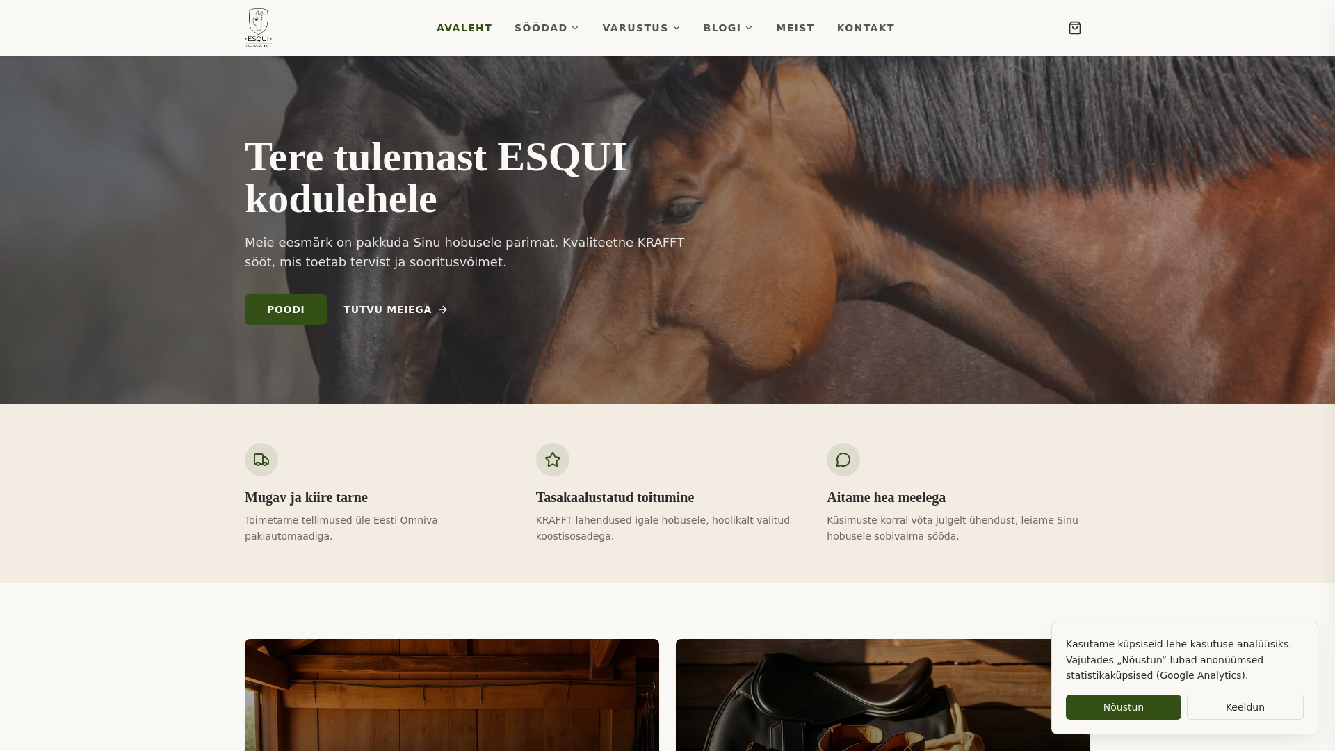 website screenshot of https://esqui-2i5.pages.dev/