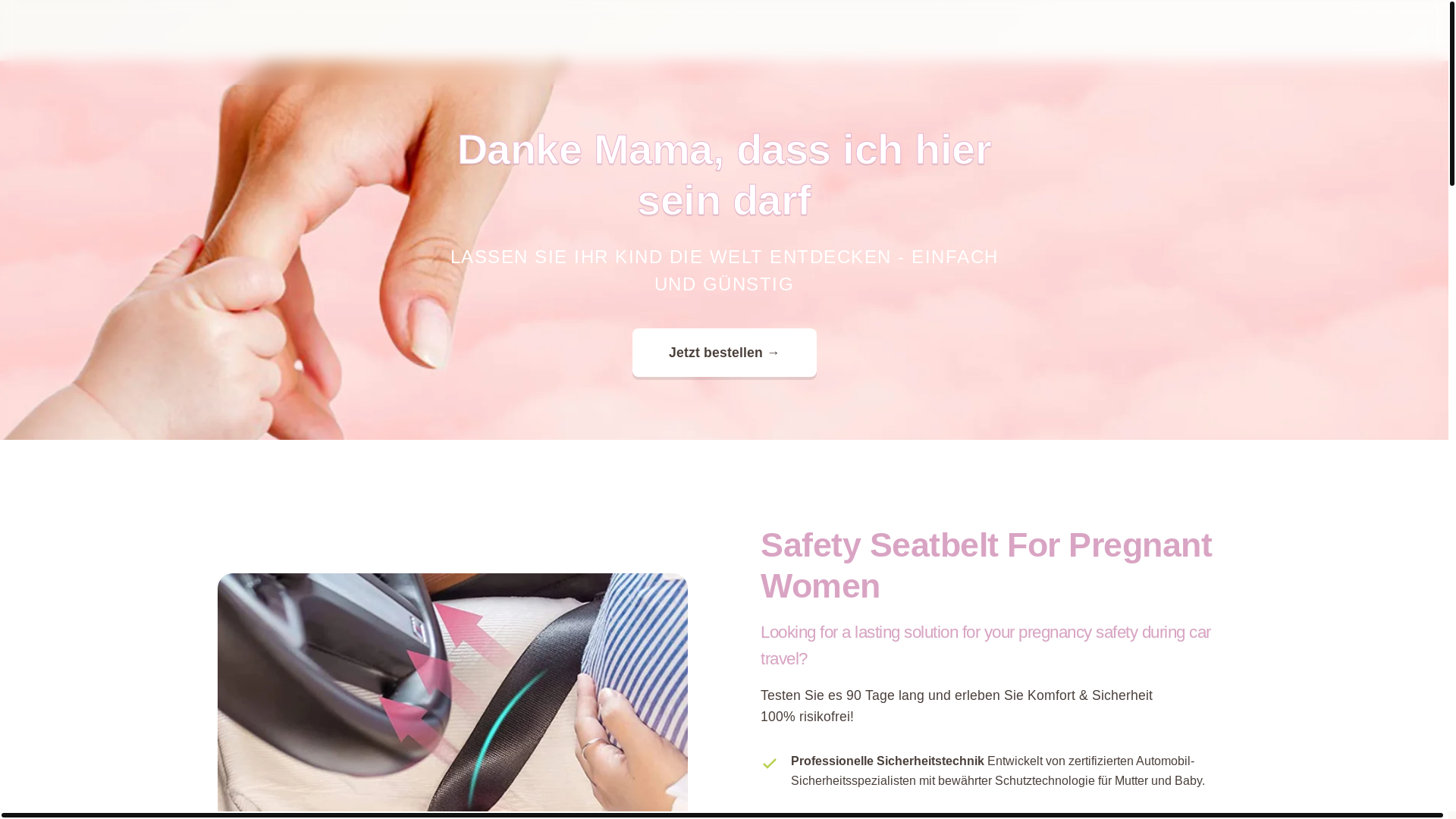 website screenshot of https://havenssafe.com/