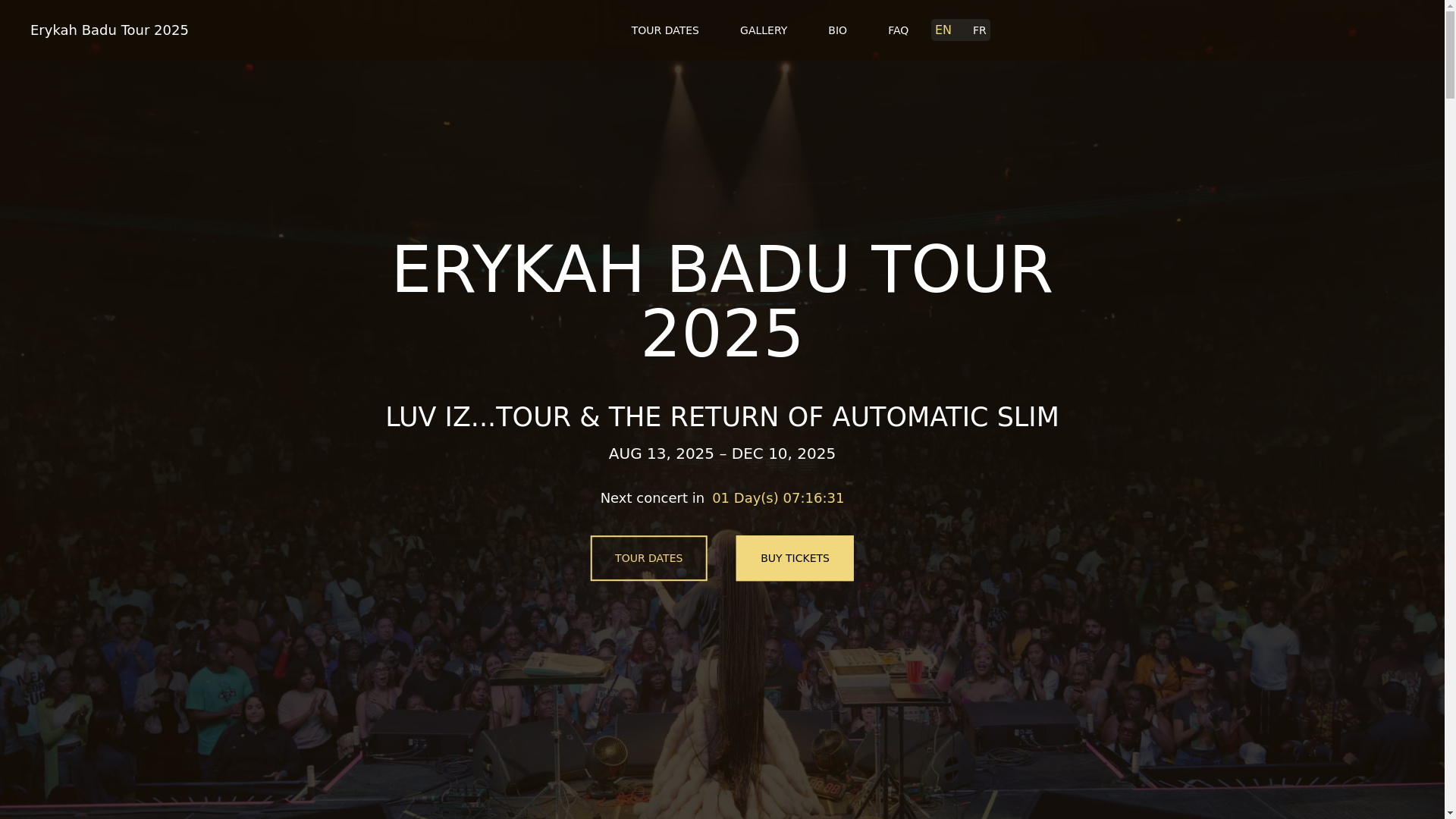 website screenshot of https://erykahbadutour-com-github-io.pages.dev/