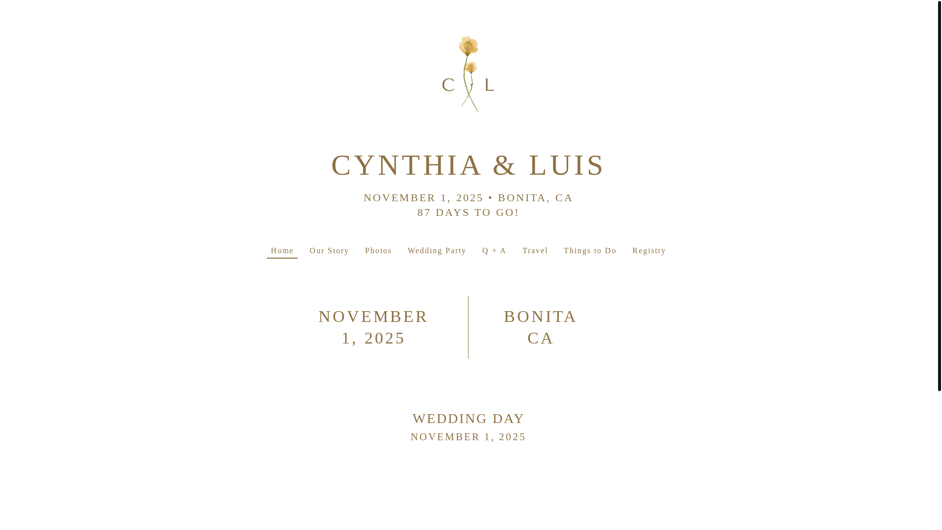 website screenshot of https://luisandcynthia.com/