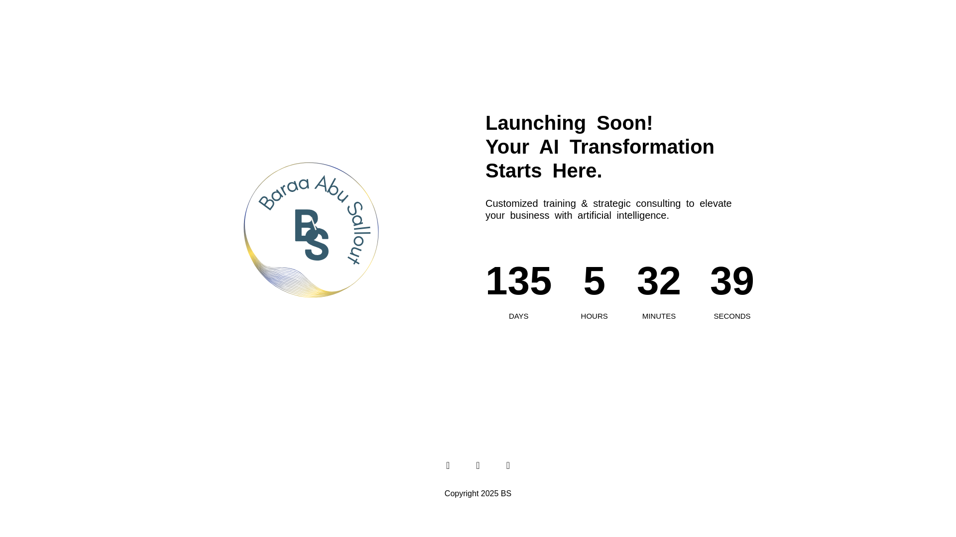 website screenshot of https://baraasalout-github-io.pages.dev/