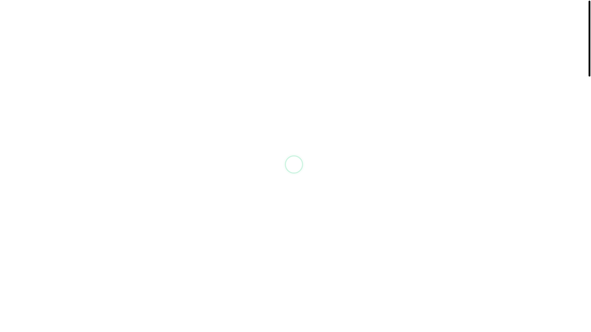 website screenshot of https://kingkebabshopnewport.co.uk/