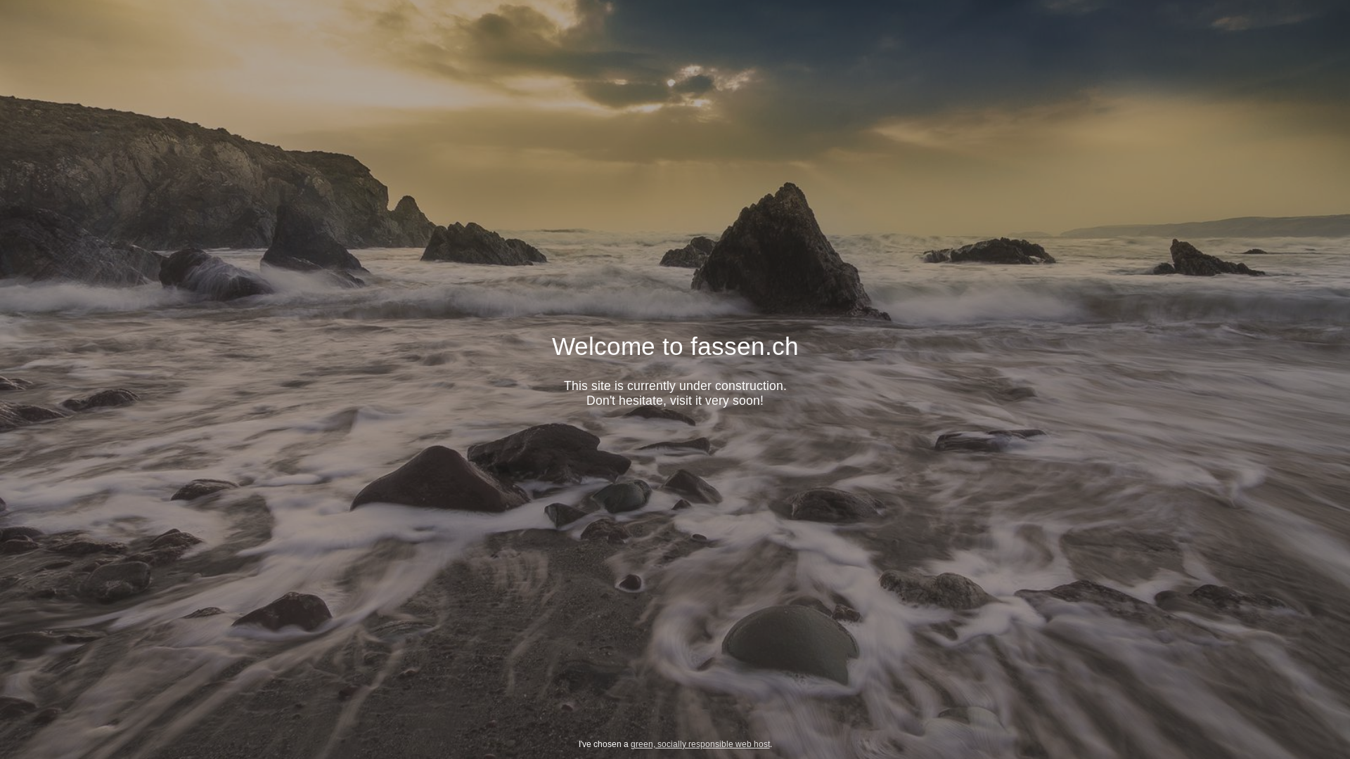 website screenshot of https://fassen.ch/