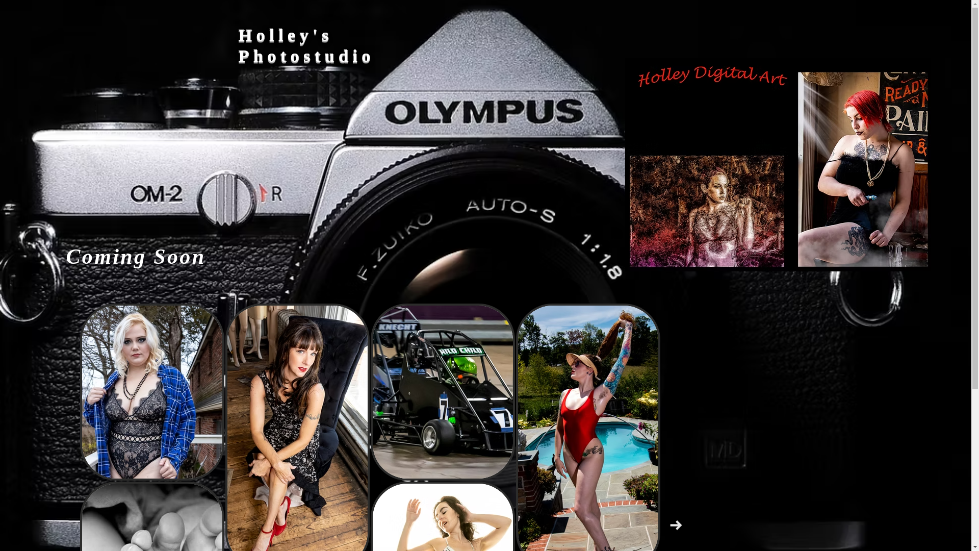 website screenshot of https://ejholleyartwork.com/