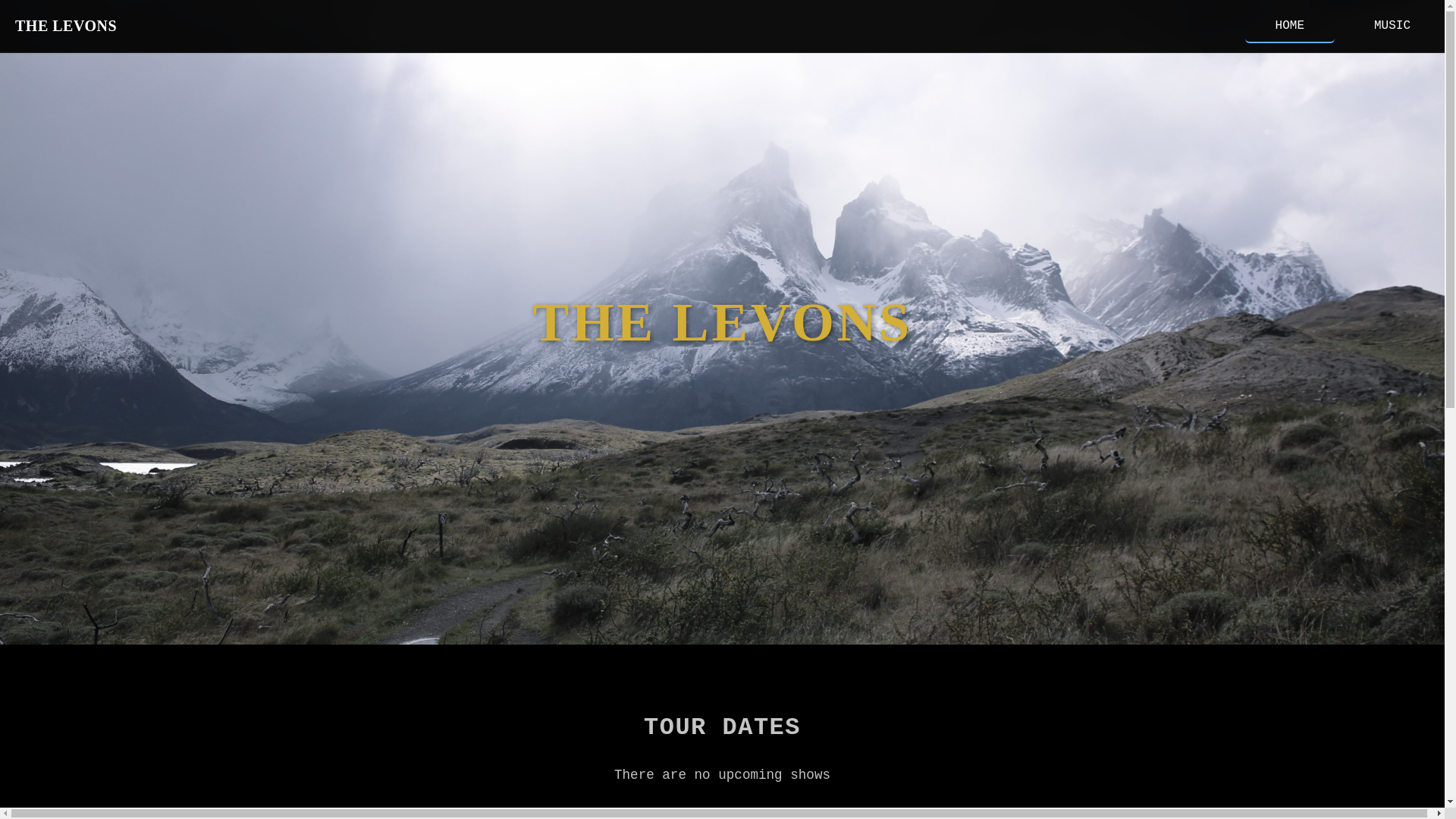 website screenshot of https://levons.pages.dev/