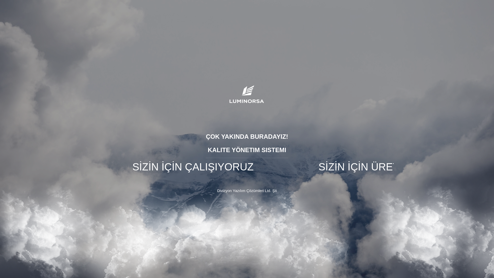 website screenshot of https://luminorsa.com/