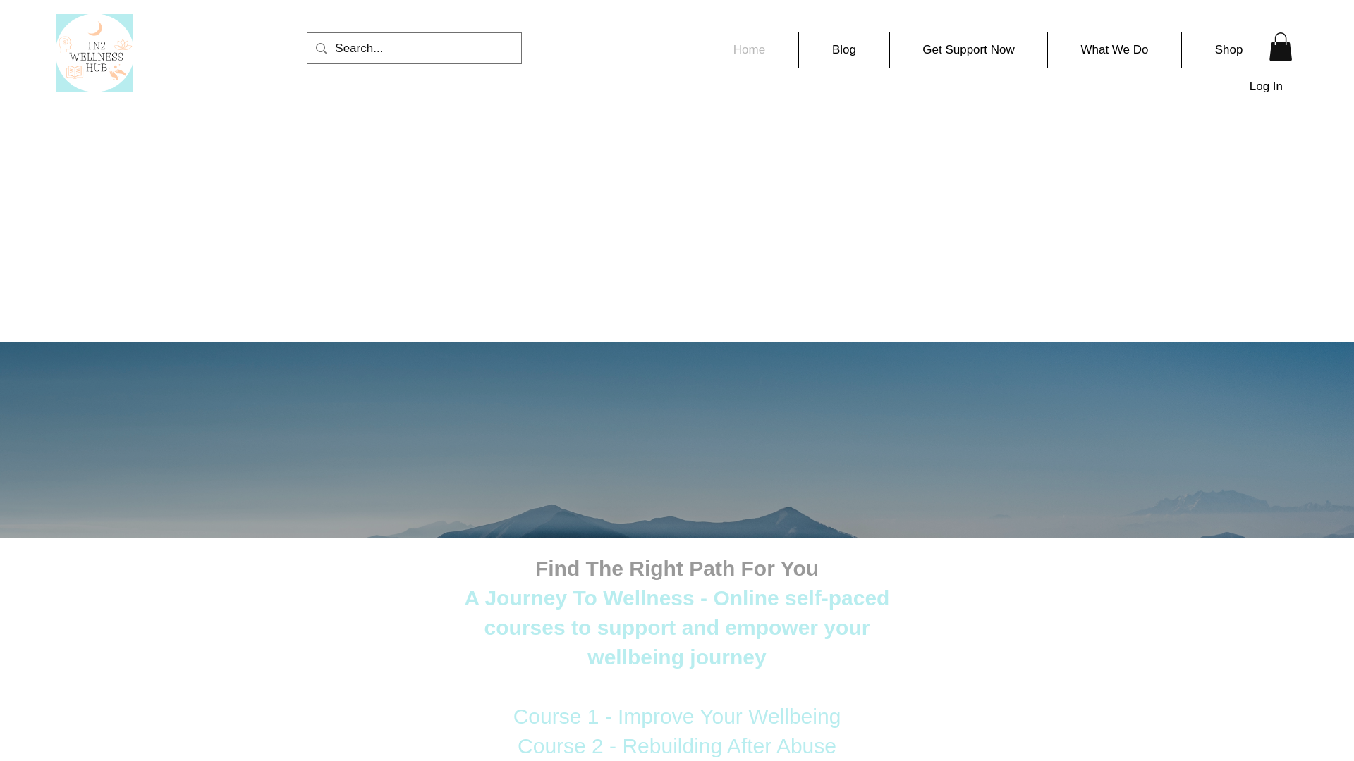 website screenshot of https://tn2wellnesshub.co.uk